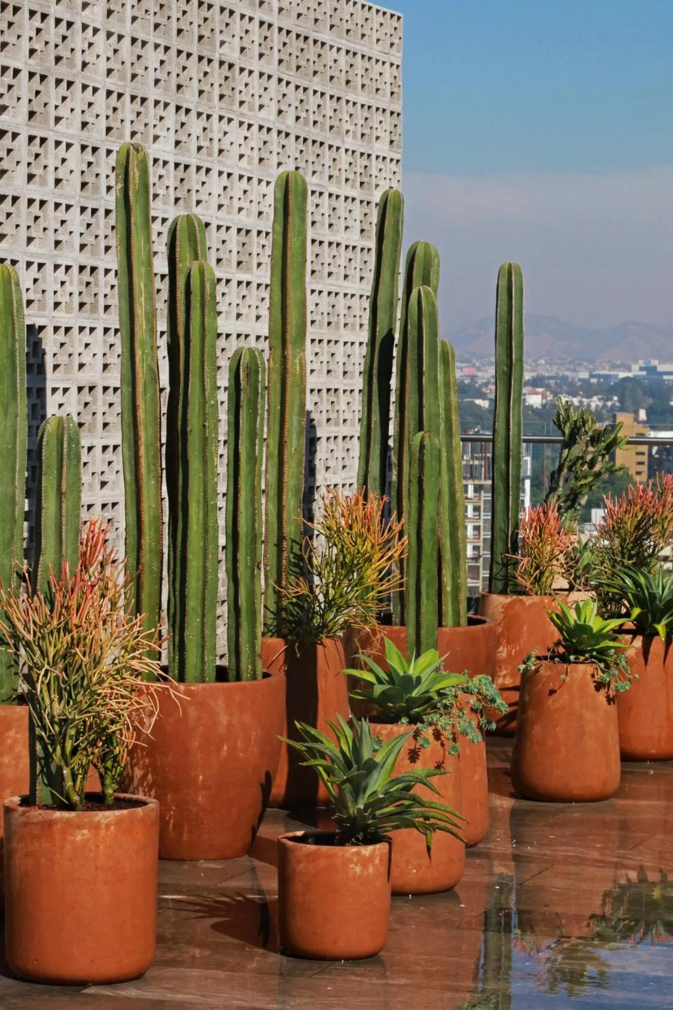 Spa and wellness centre/facilities in voco Guadalajara Neruda by IHG