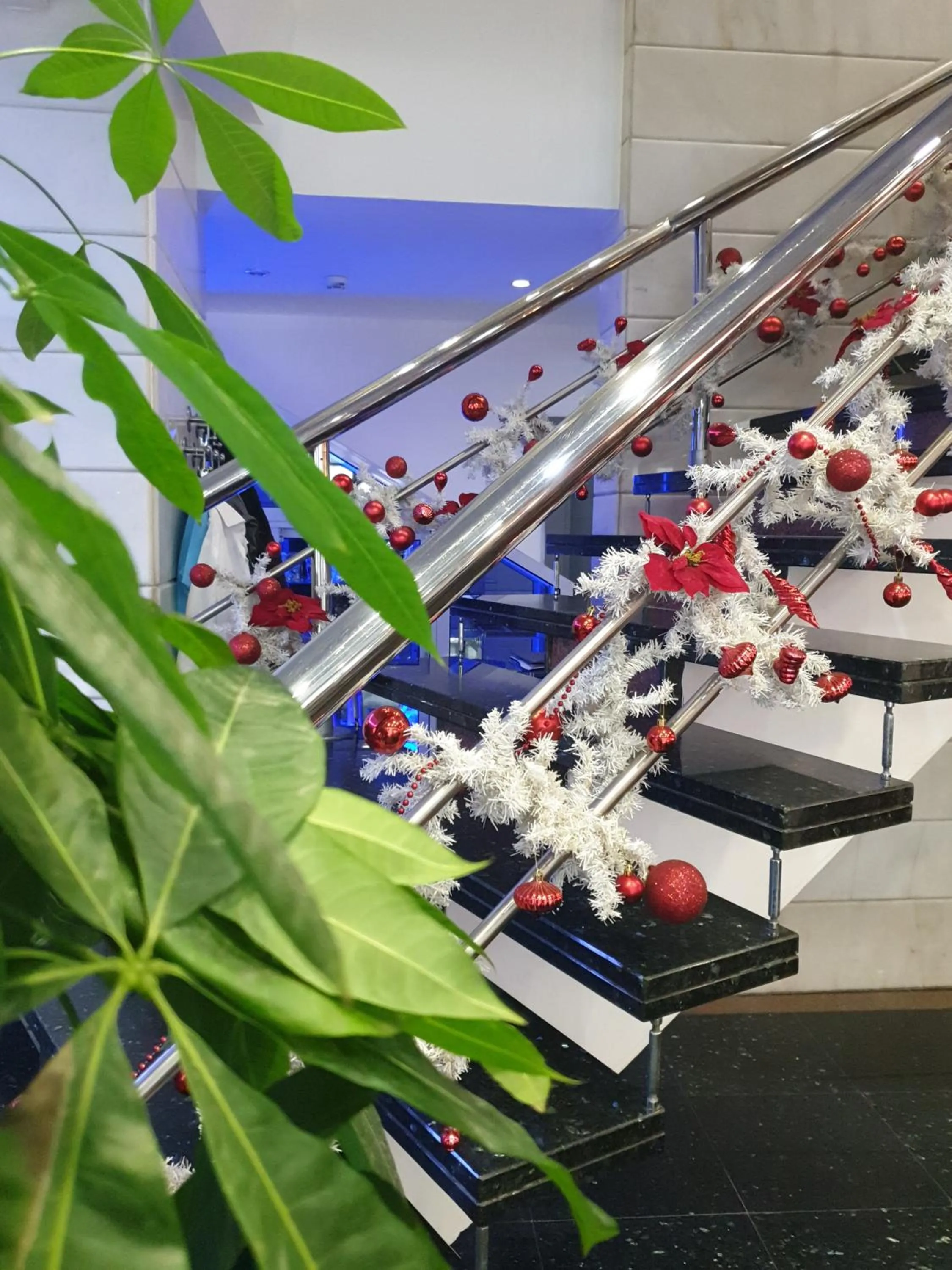 Property building in Hotel Marla