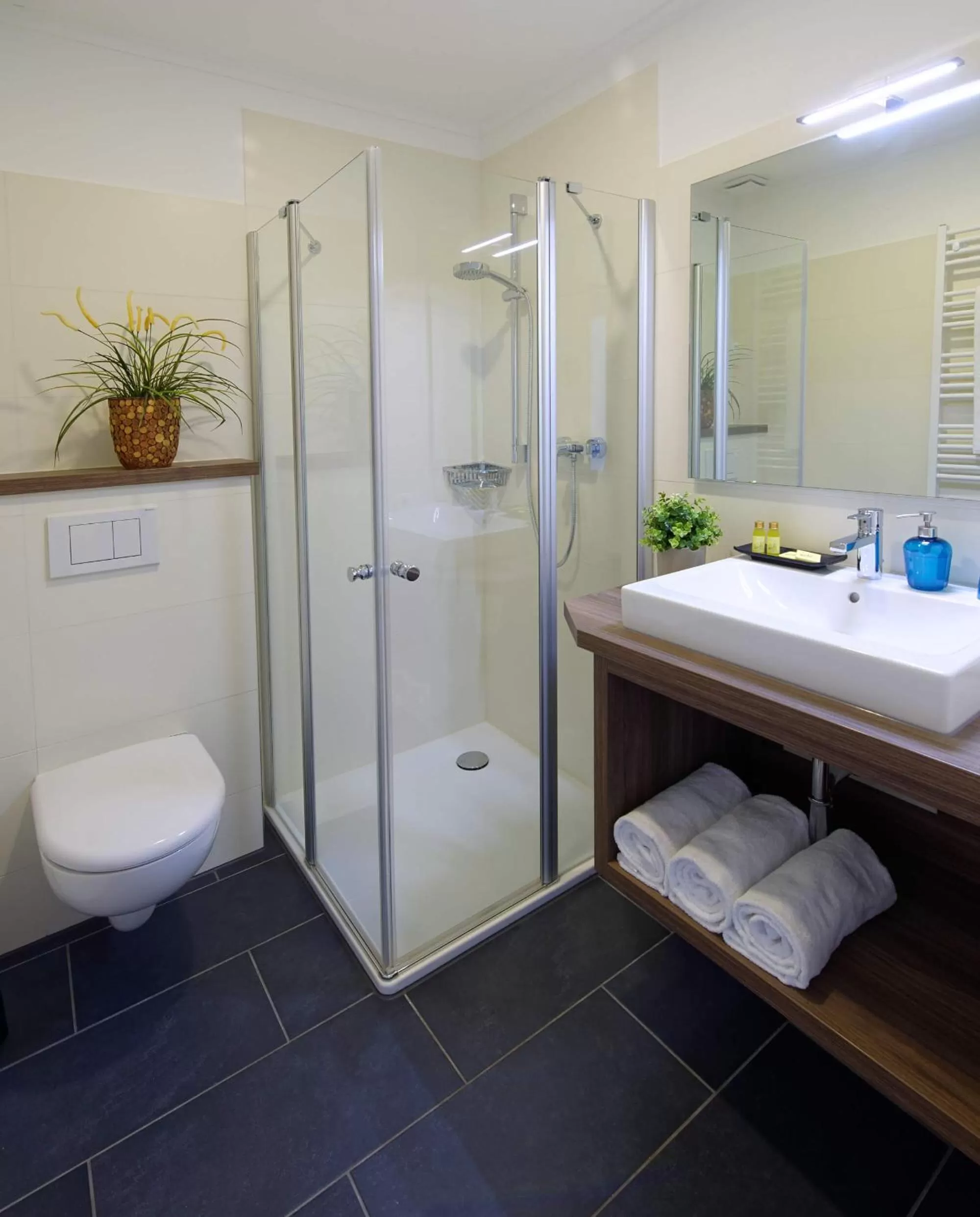 Shower in Trend Hotel