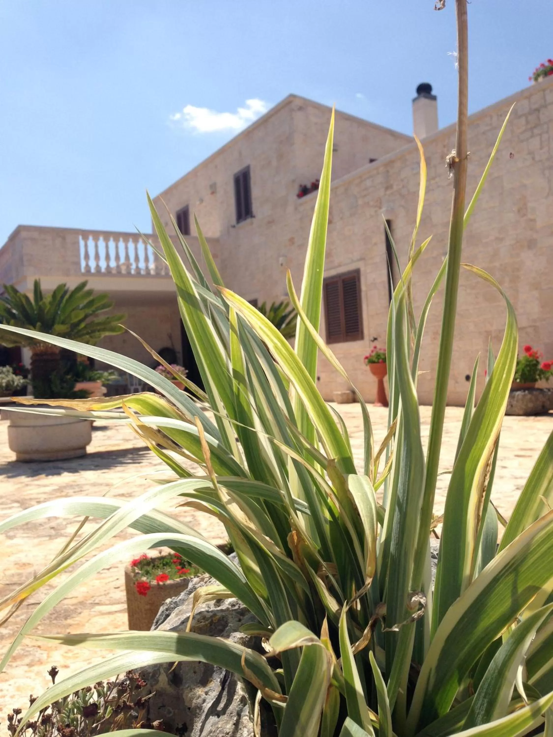 Bird's eye view, Property Building in B&B Villa Grassi