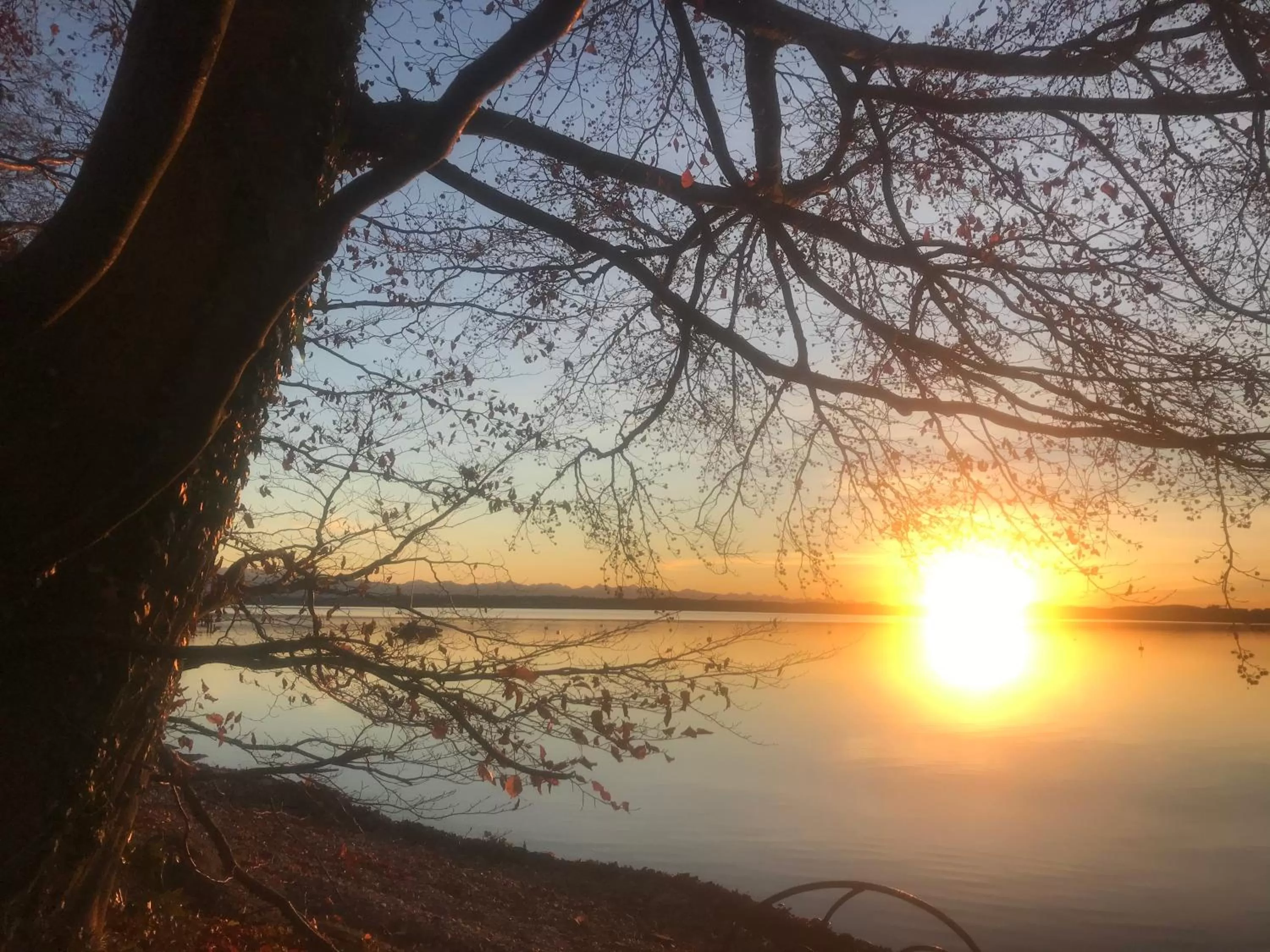 Natural landscape in Bed and Breakfast Bavaria München