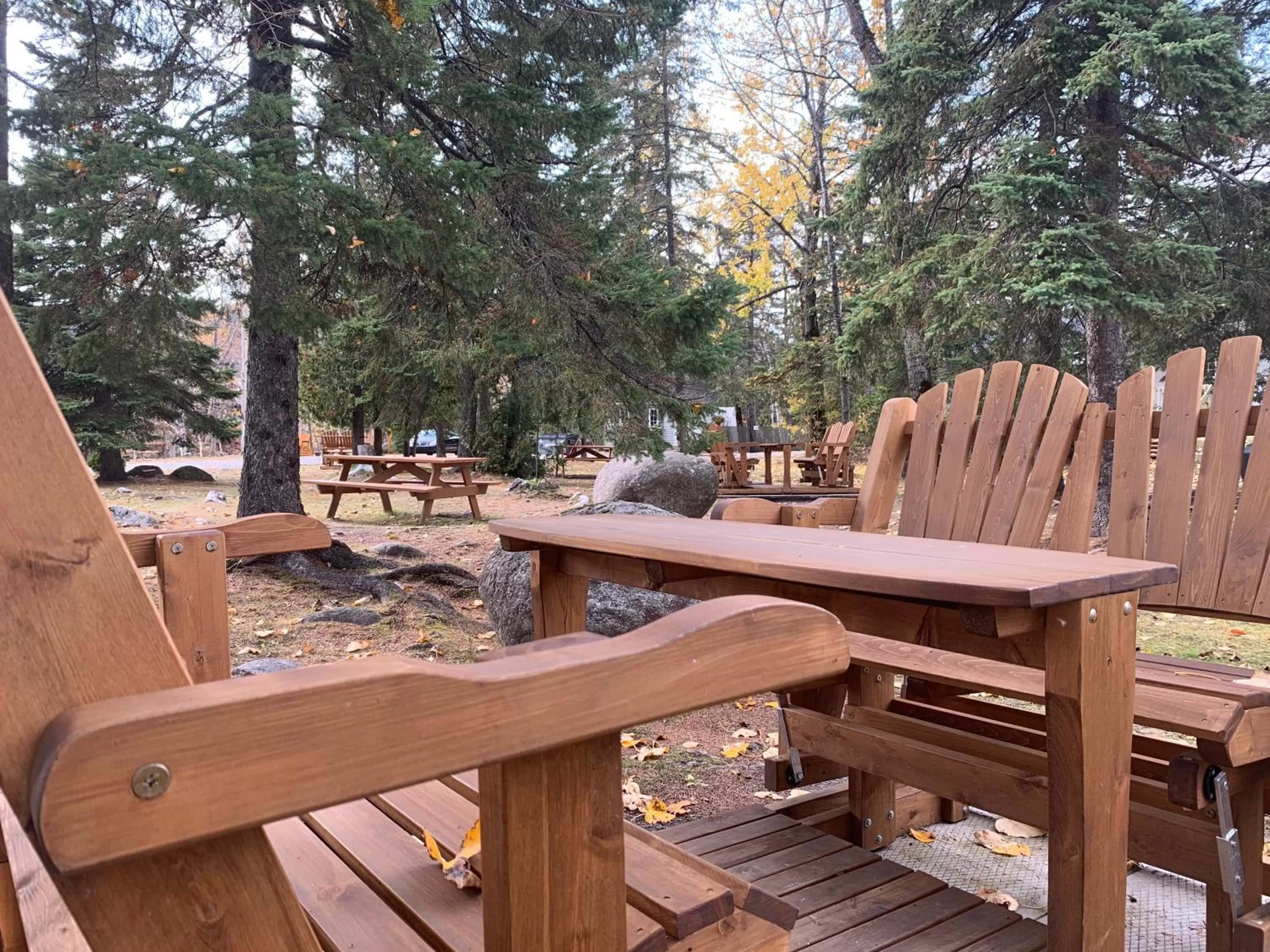 Garden in Motel Des Cascades