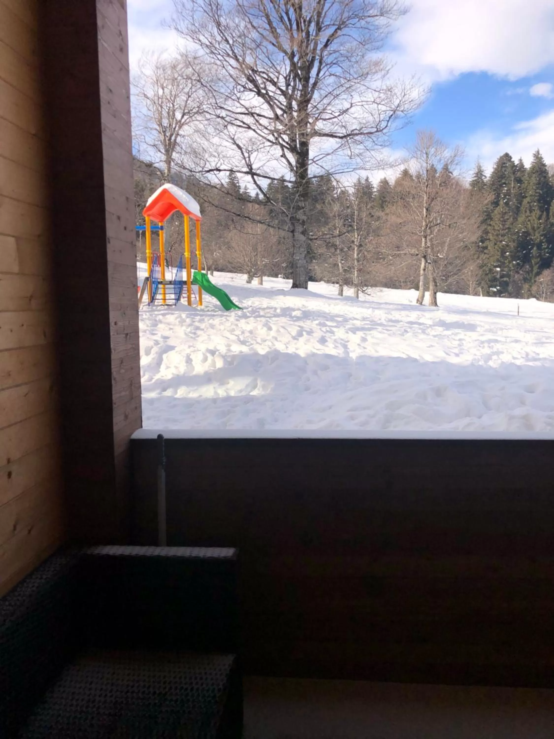 Winter in Bakuriani the Valley 115 - 202