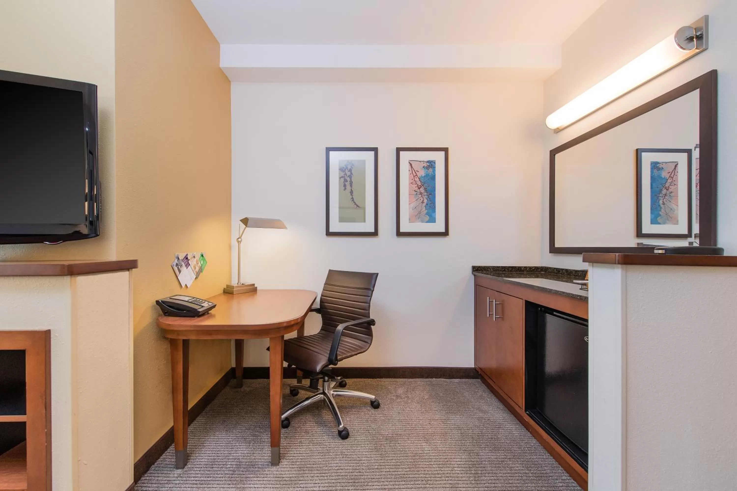 TV and multimedia in Hyatt Place Charleston Airport / Convention Center