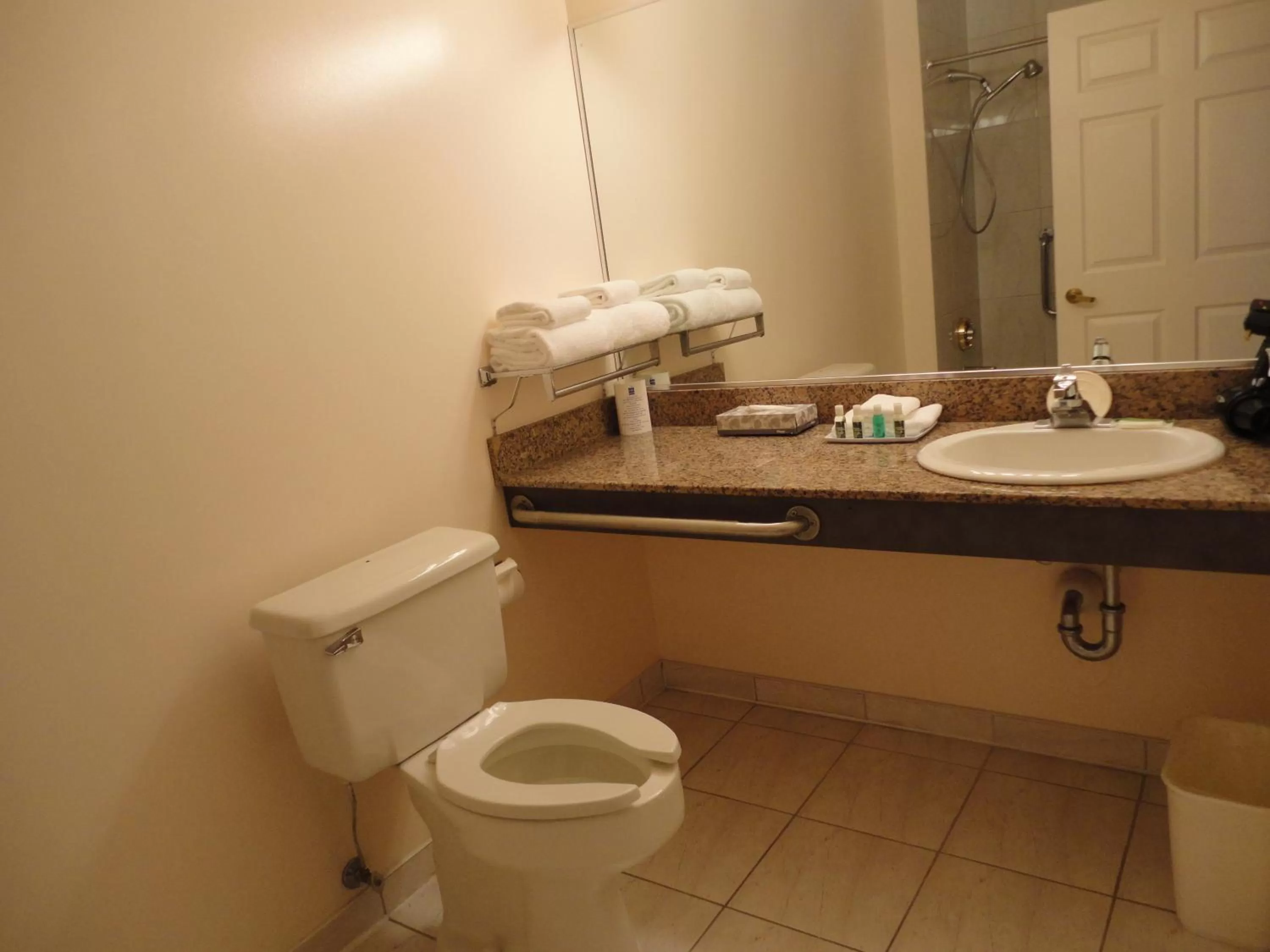 Bathroom in Rosedale on Robson Suite Hotel