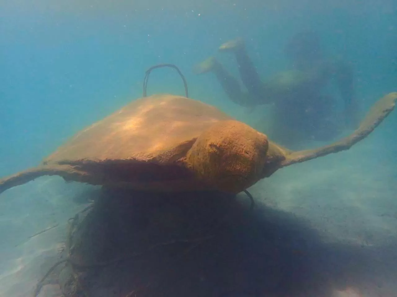 Property building in Hotel Punta Leona