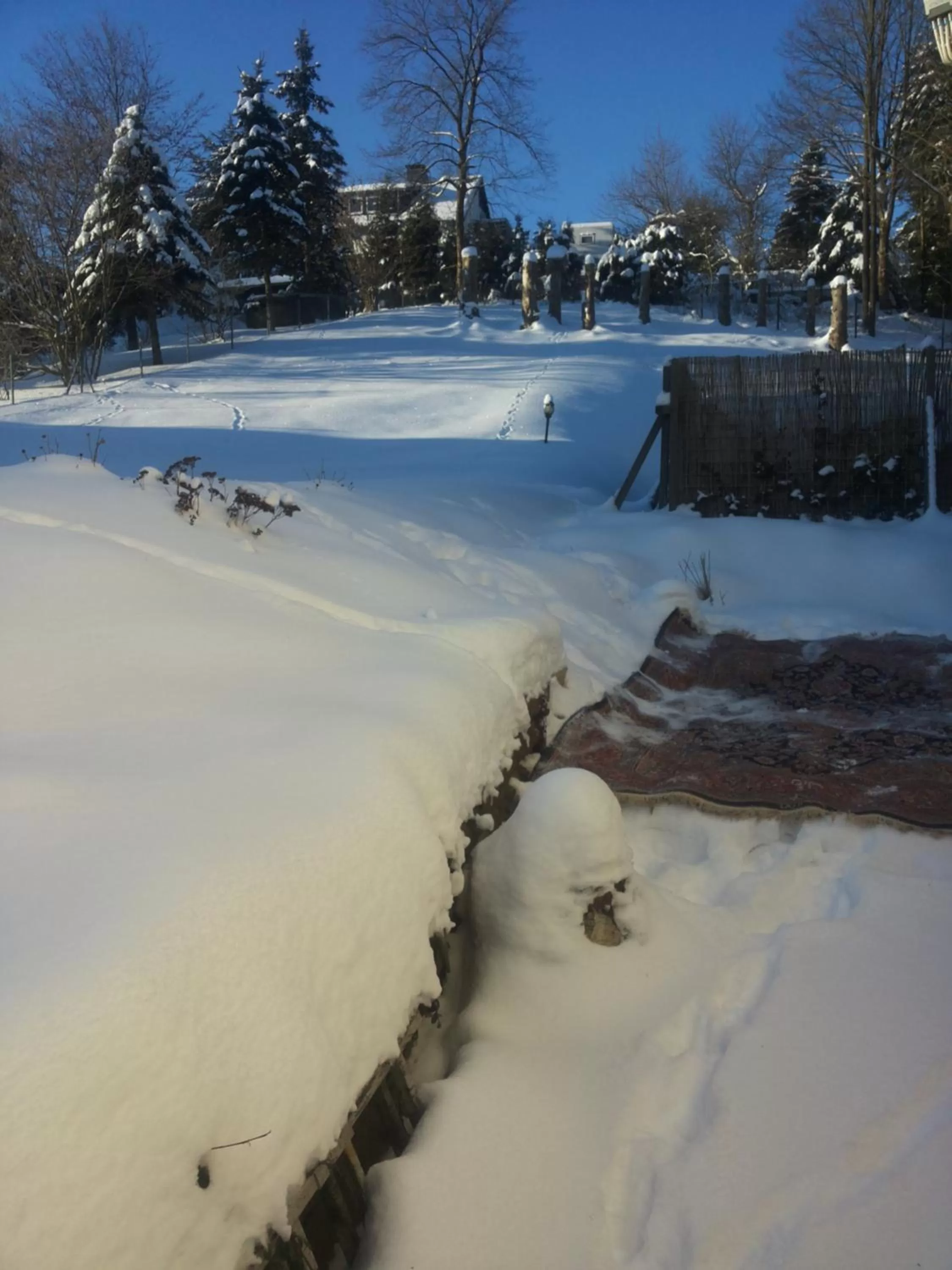Garden in Orchidee Altenau