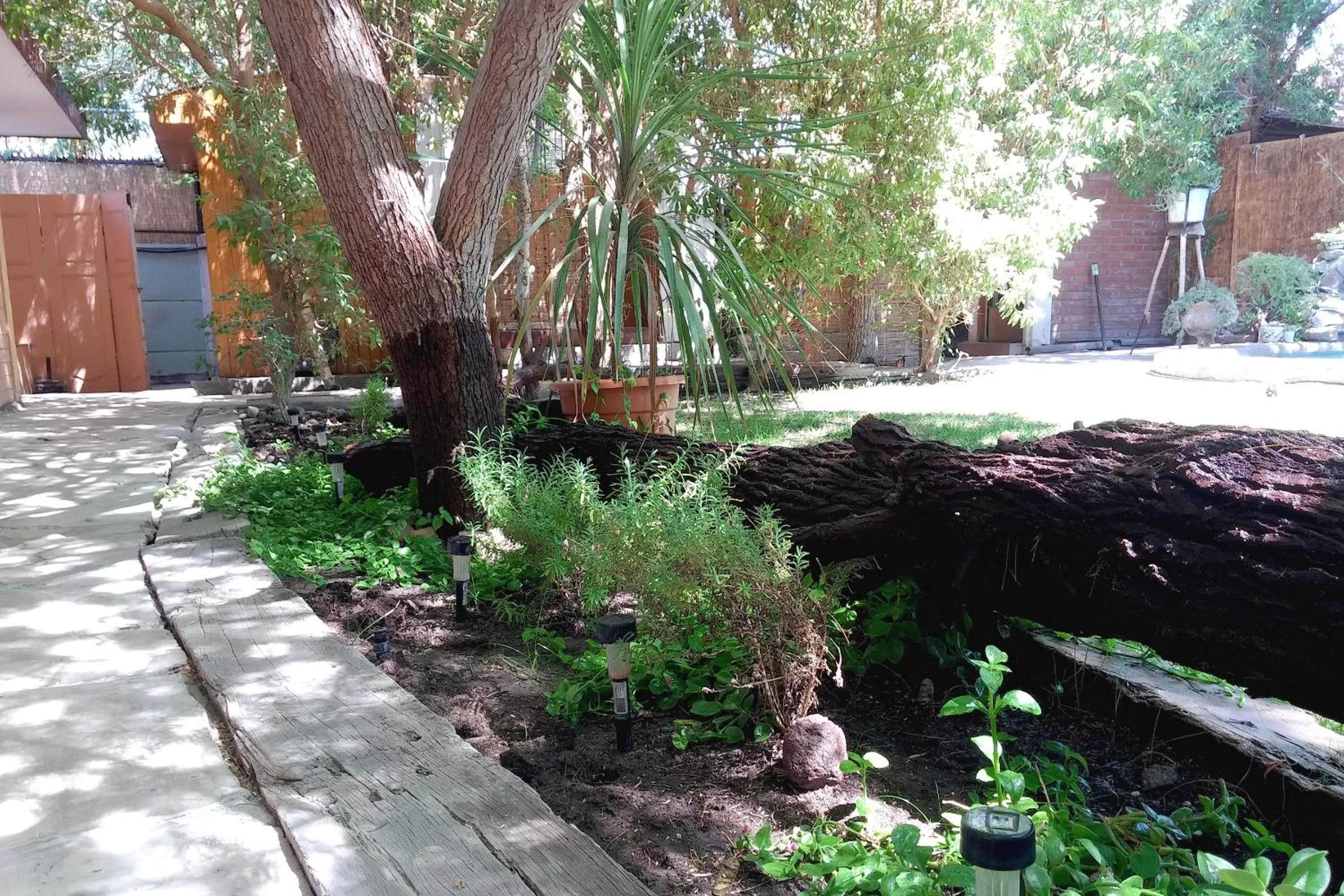 Garden in Atankalama