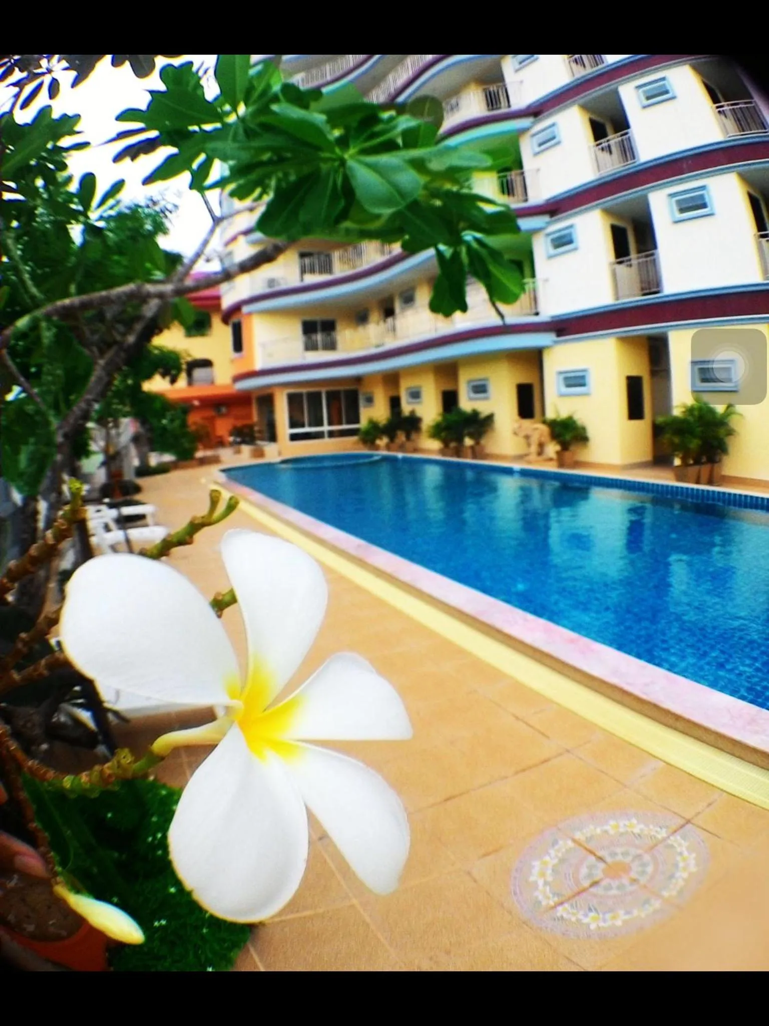 Swimming pool in Smile Residence