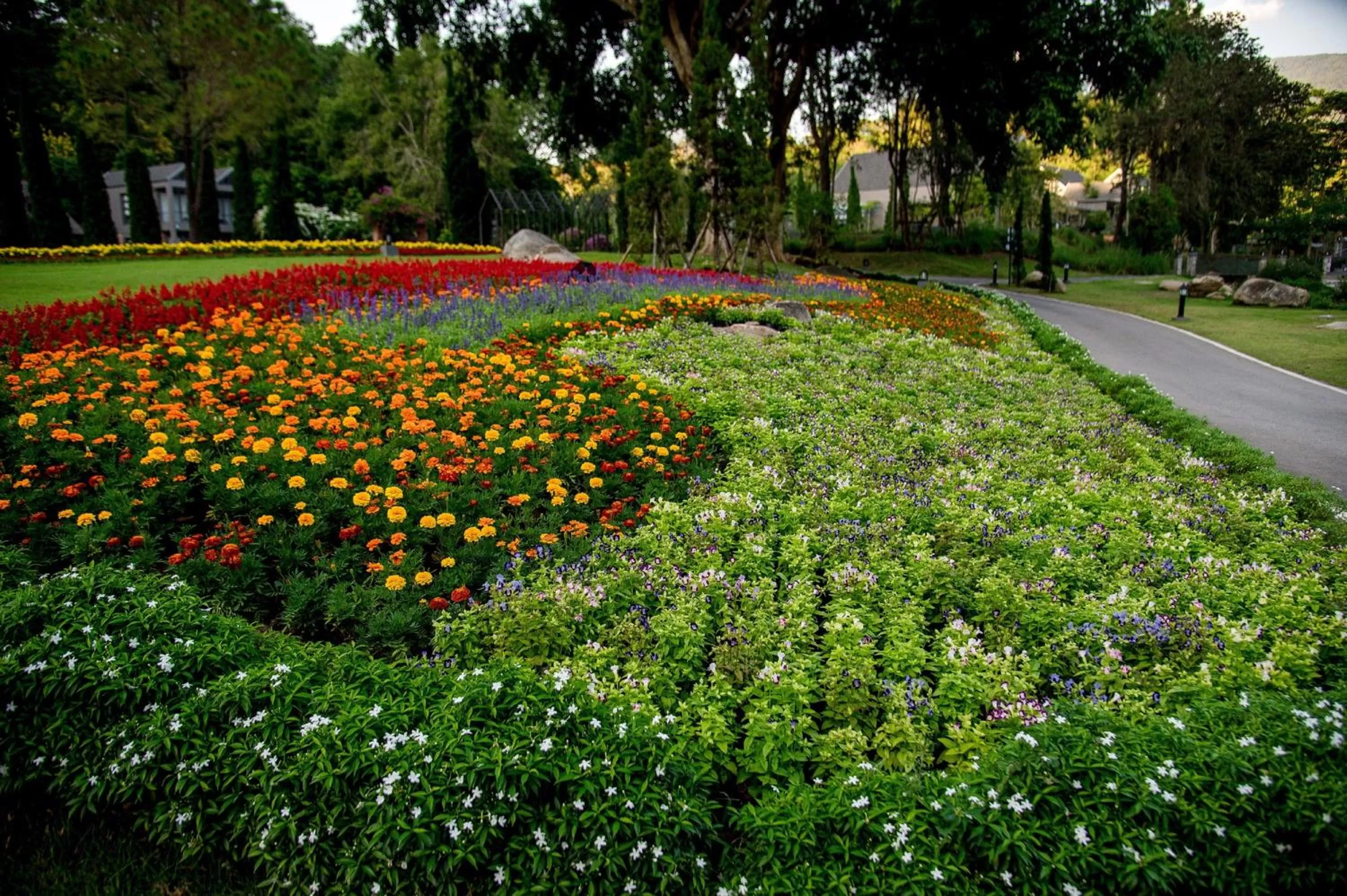 Day in Flora Creek Chiang Mai