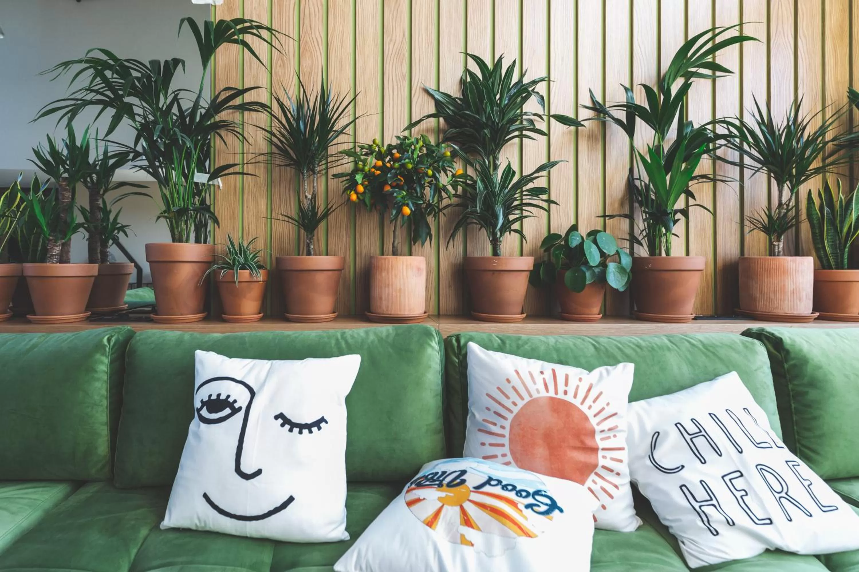 Lounge or bar in Coloft