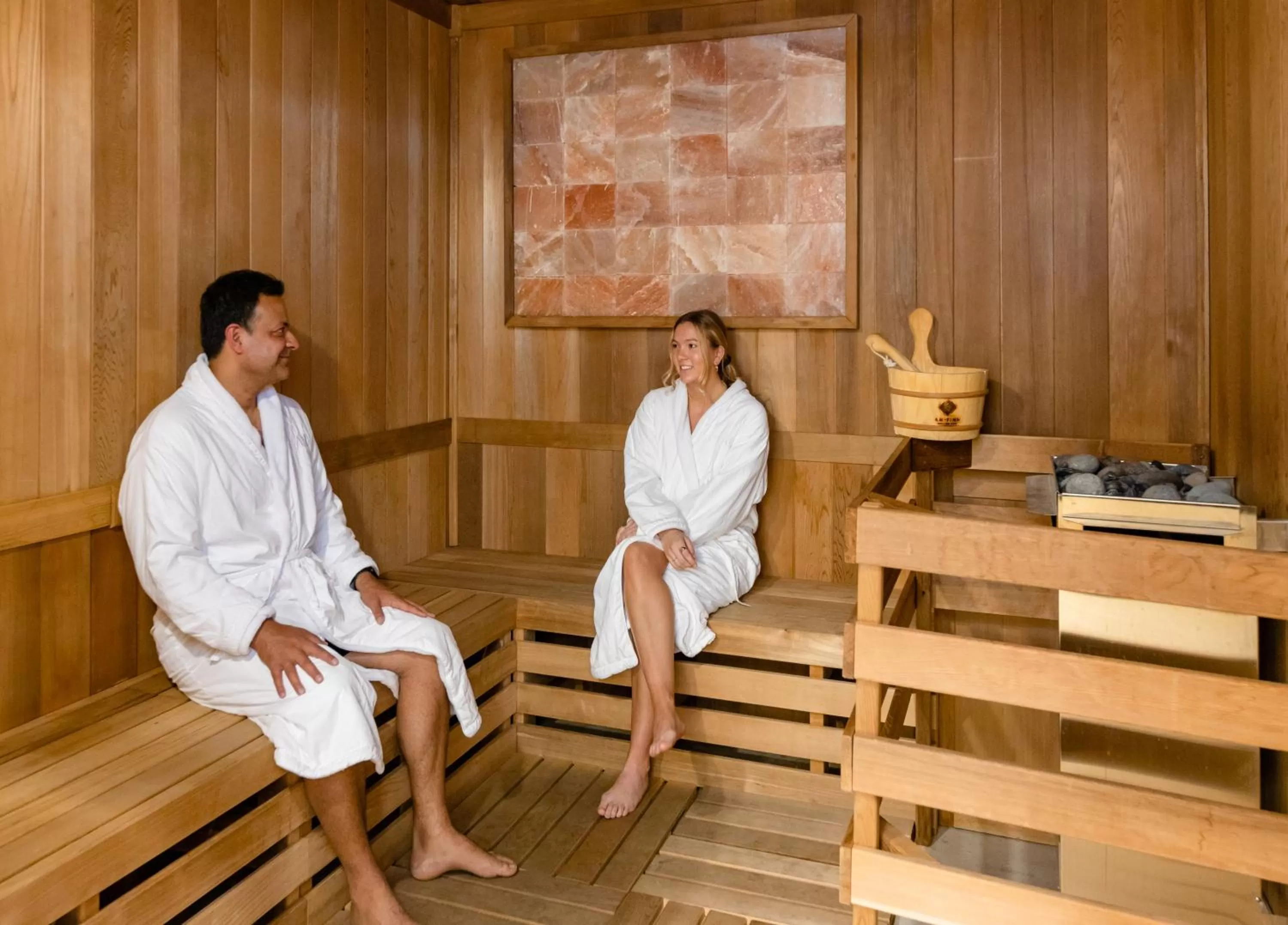 Sauna in Shashi Hotel Mountain View Palo Alto