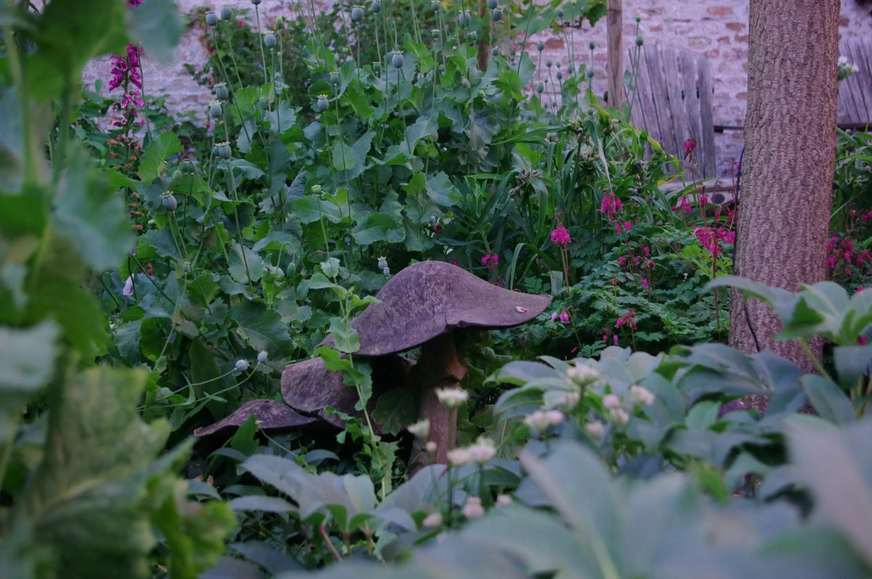 Other in B&B Canal Deluxe