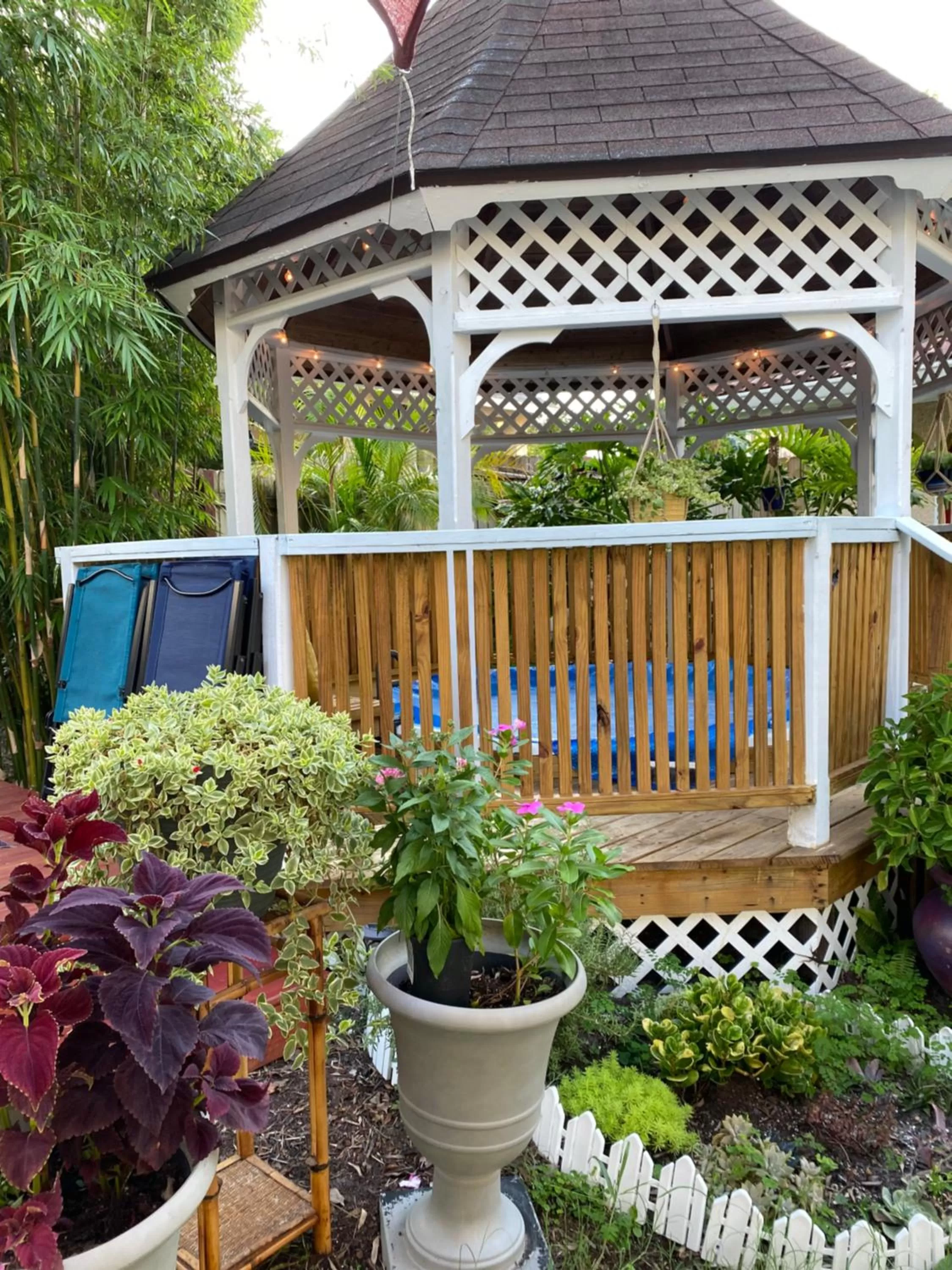 Garden in Ms. Maggie's South Country Inn