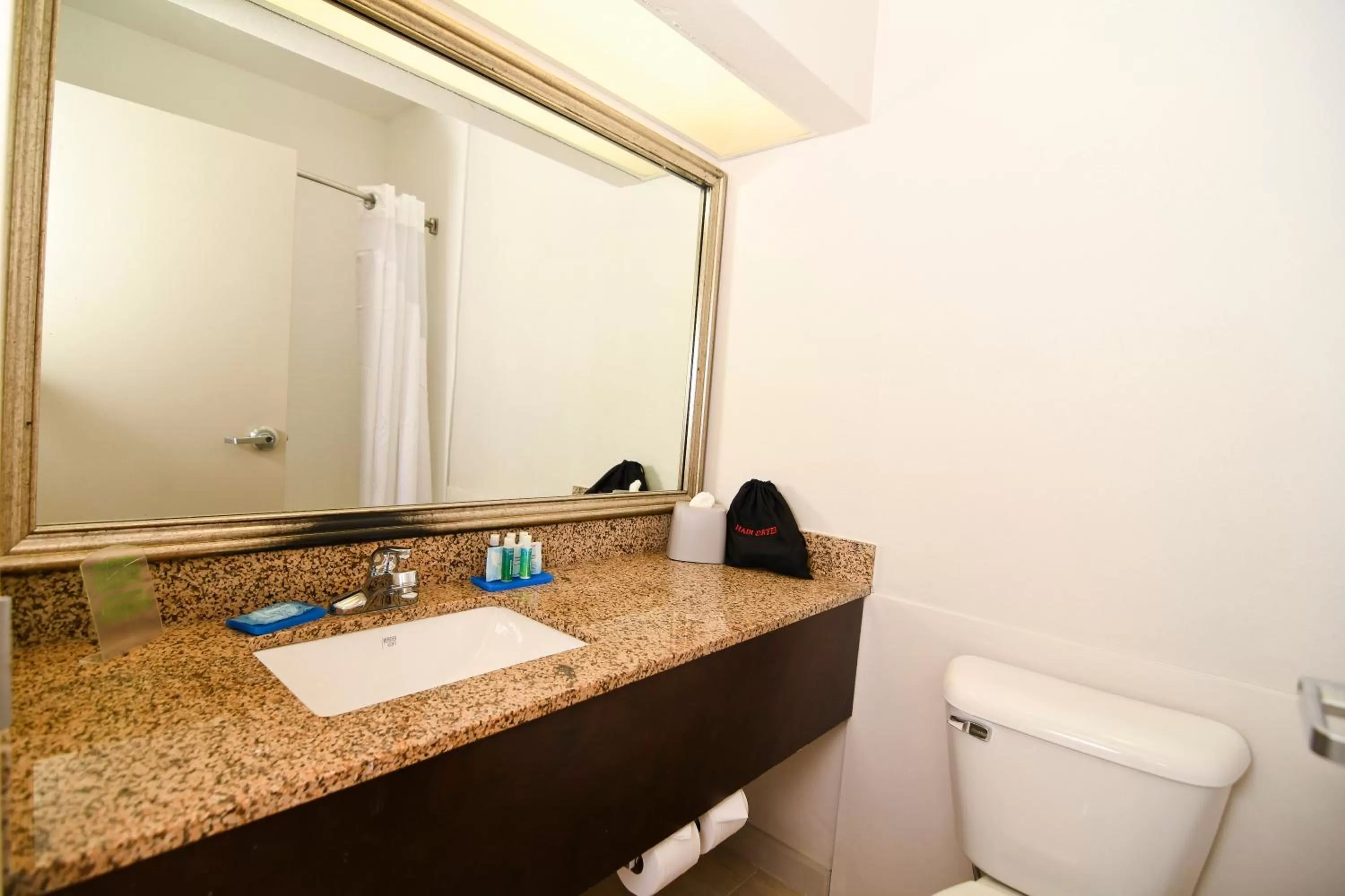 Bathroom in Holiday Inn Express Hotel & Suites Port Clinton-Catawba Island by IHG
