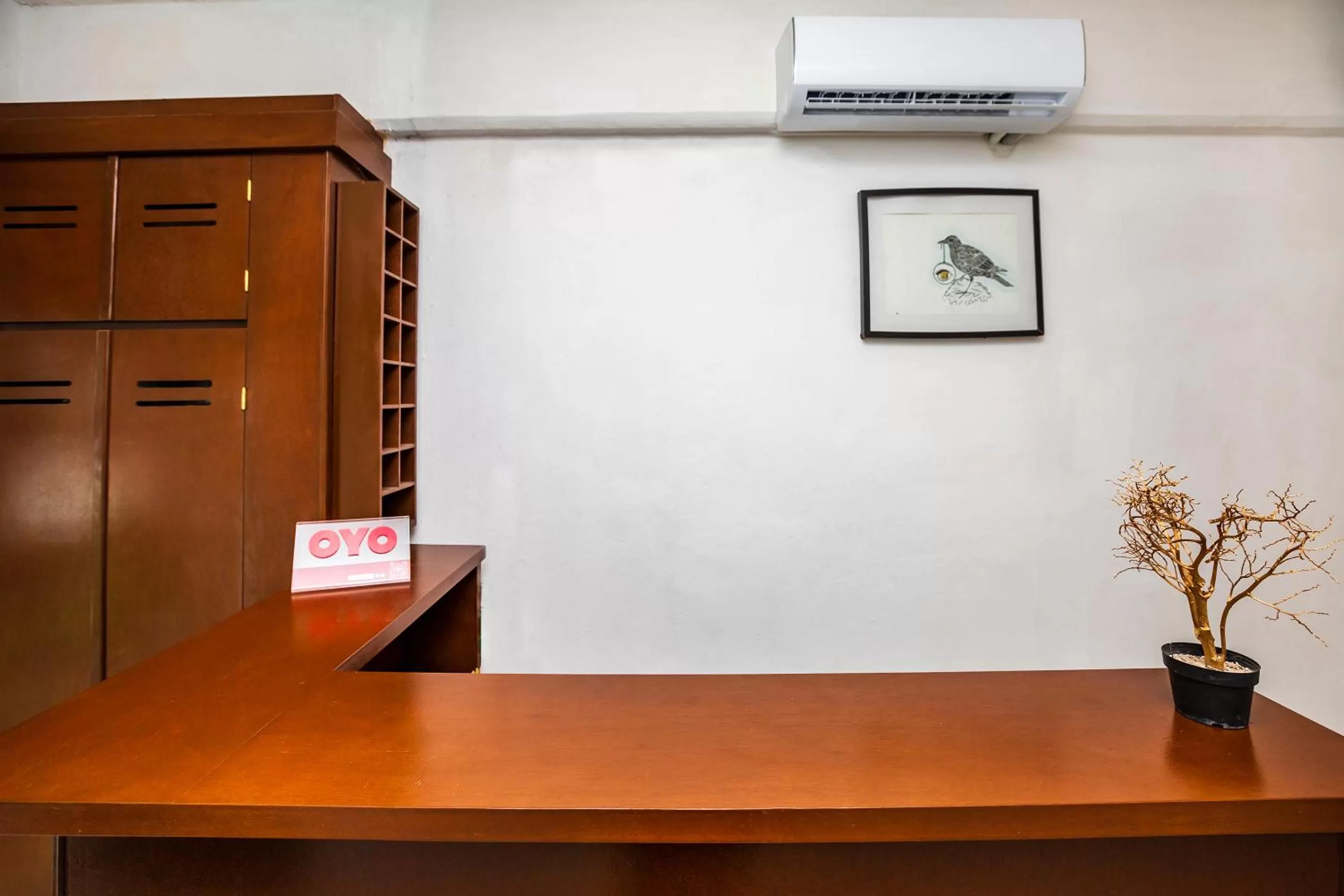 Lobby or reception, Lobby/Reception in OYO Hotel Dos Mundos,Aeropuerto Internacional de Cozumel