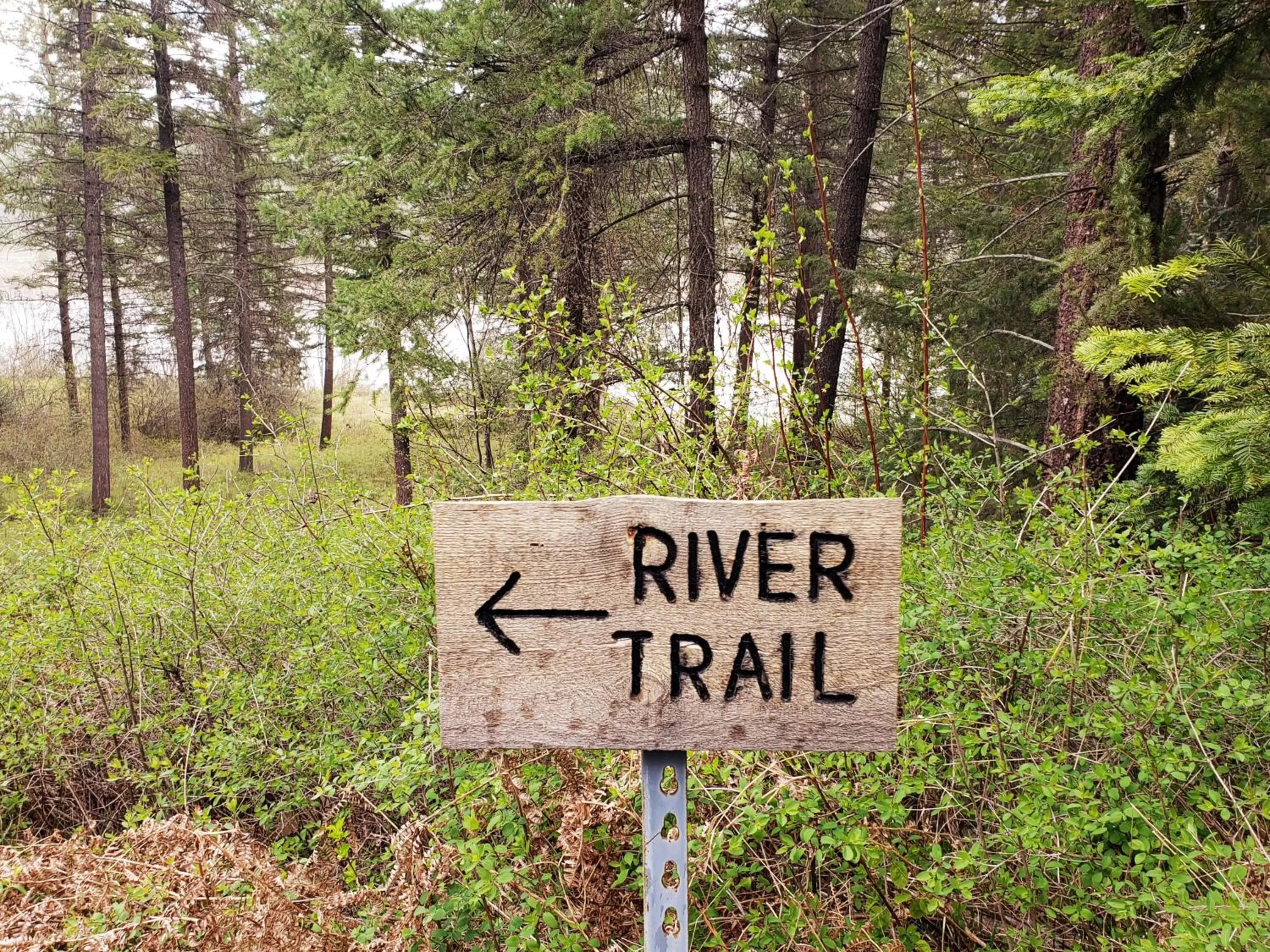 Natural landscape in Riverfront Motel & Cabins
