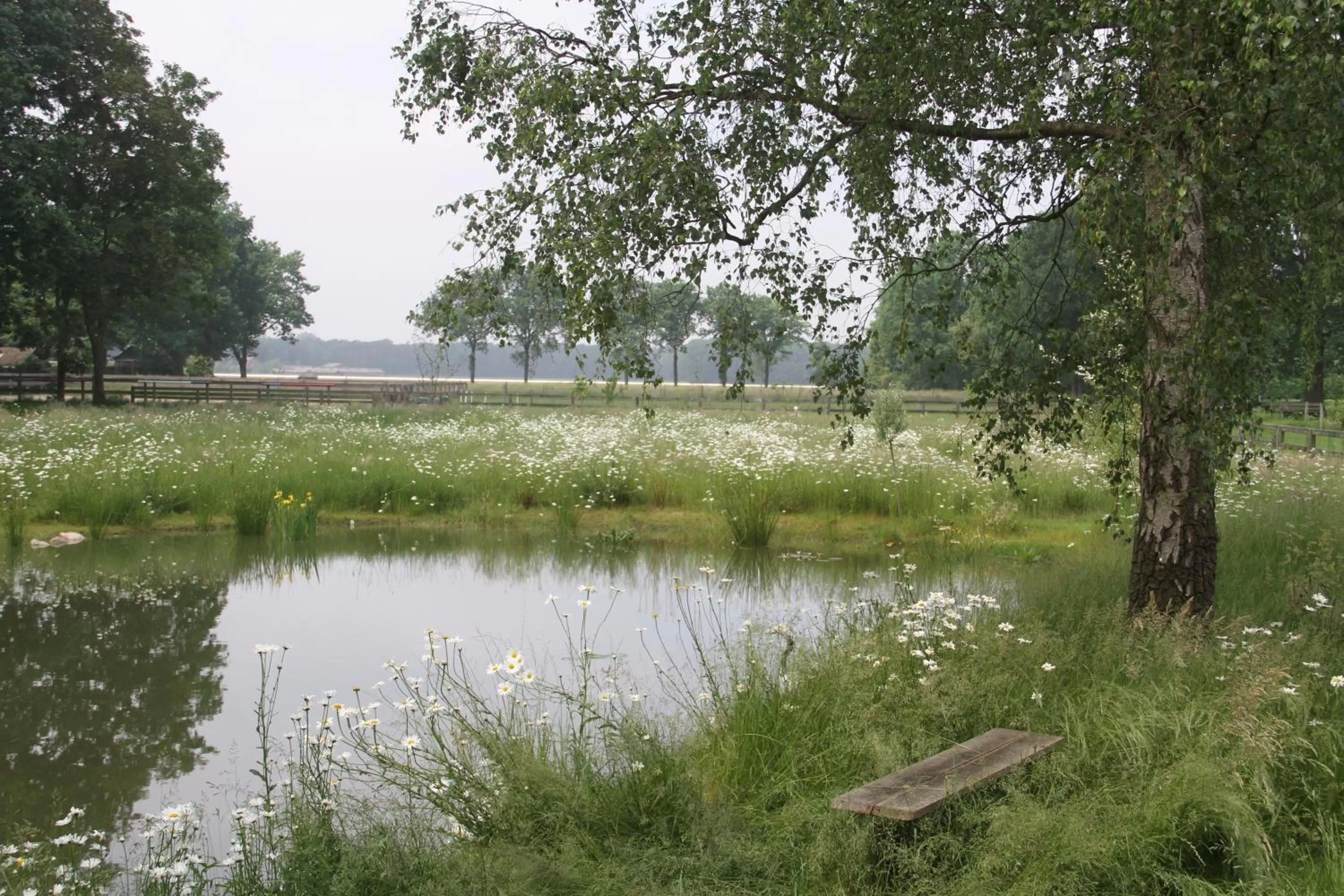 Garden view in Hof van Eersel