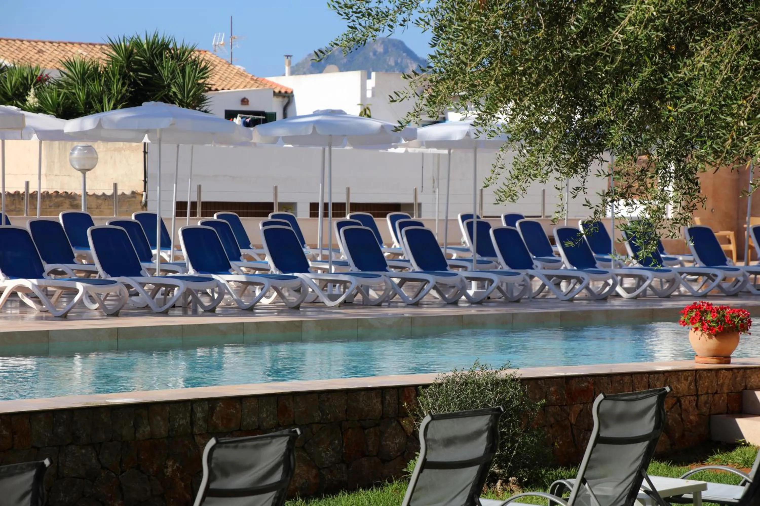 Garden in Hotel Clumba