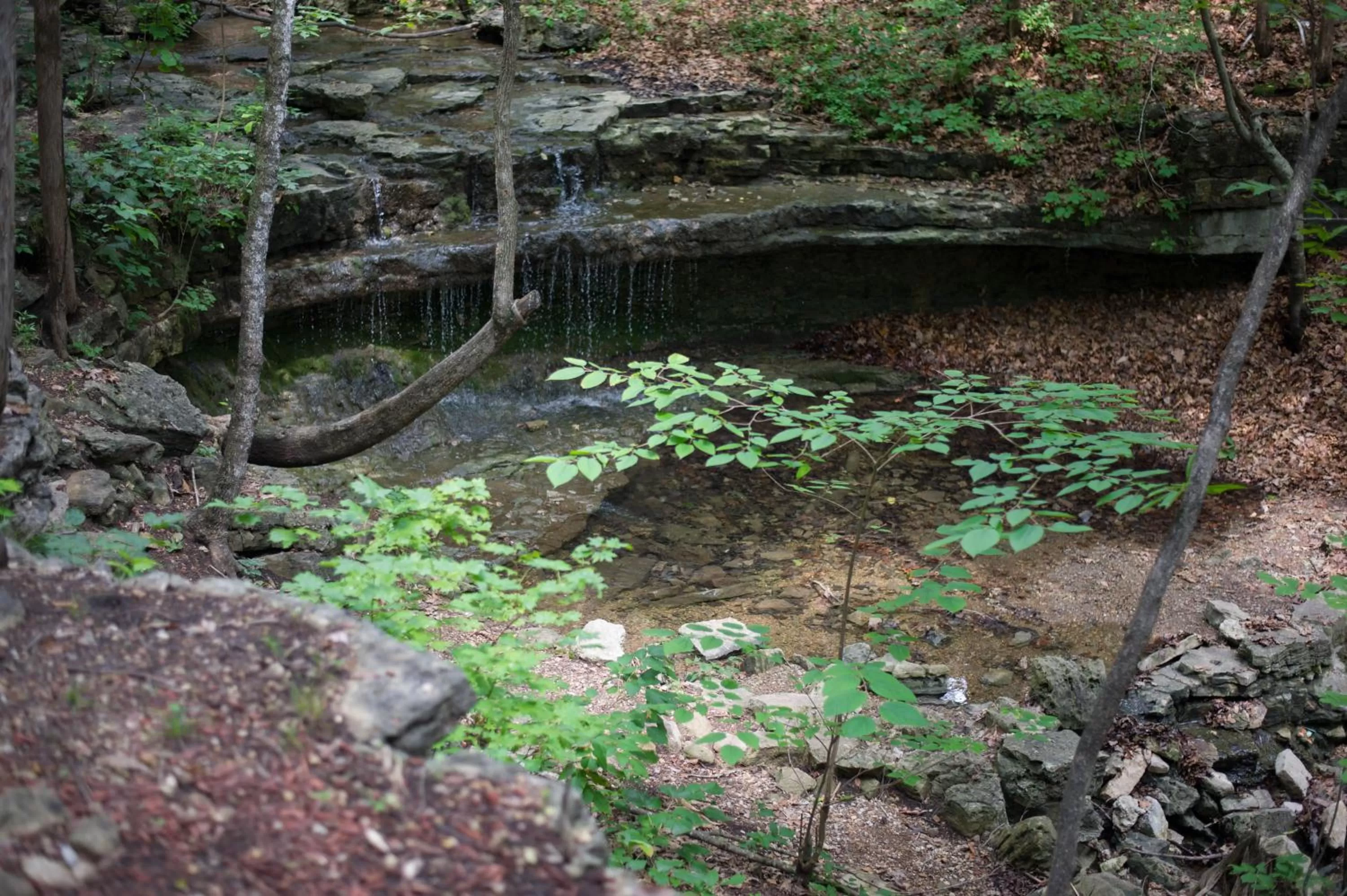 View (from property/room) in Cabins at Green Mountain, Trademark Collection by Wyndham