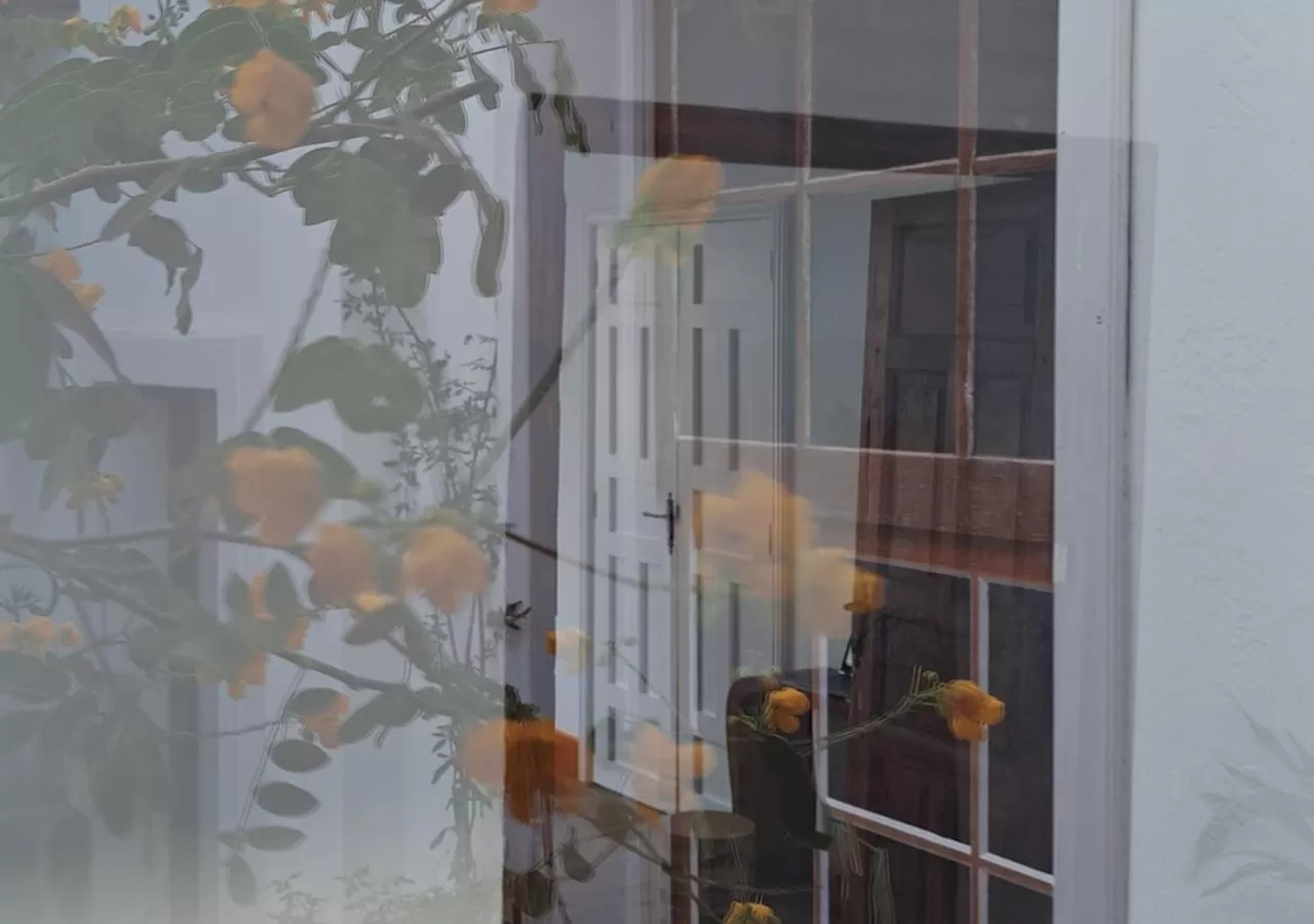 Patio in Casa de las Flores - Hotel Boutique Lanzarote