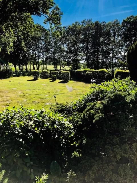 Garden view in Hotel-Marks-Garni