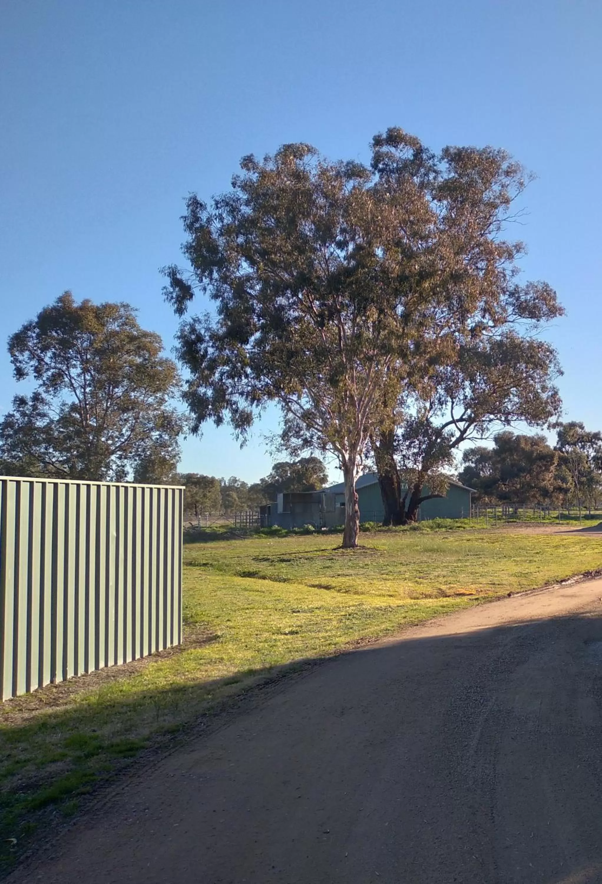 Property building in Wagga Gardens Motel