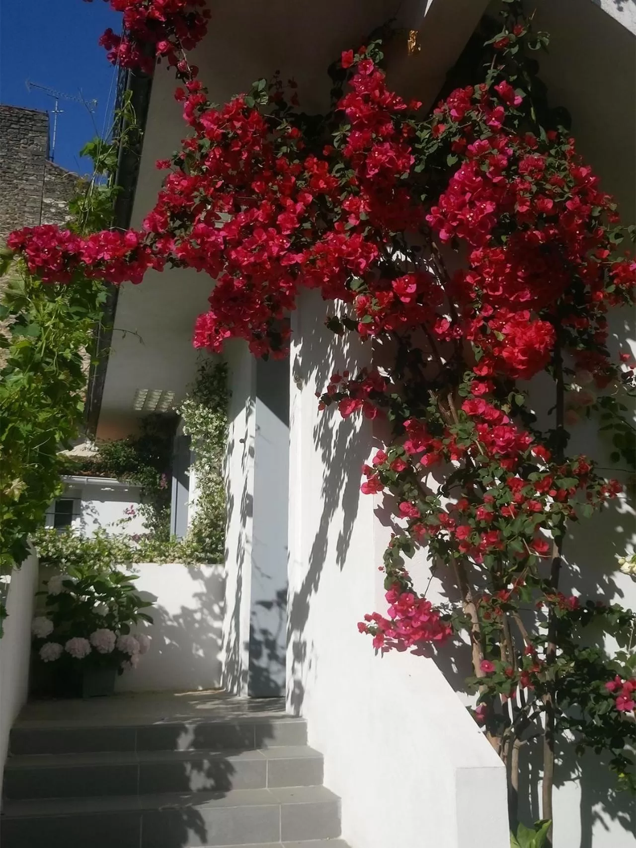 Garden in Le Clos Chez Michel