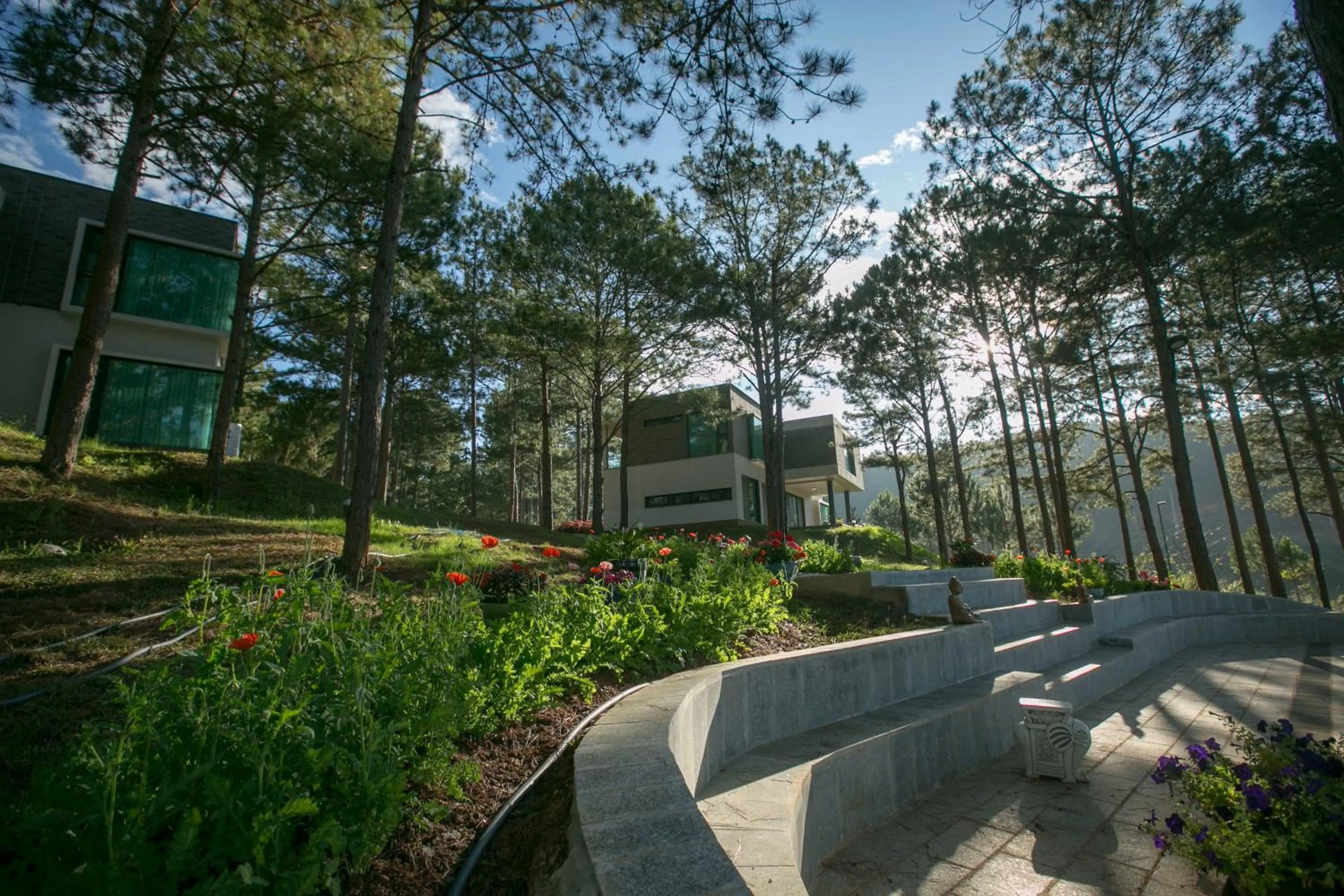 Natural landscape in Terracotta Hotel & Resort Dalat