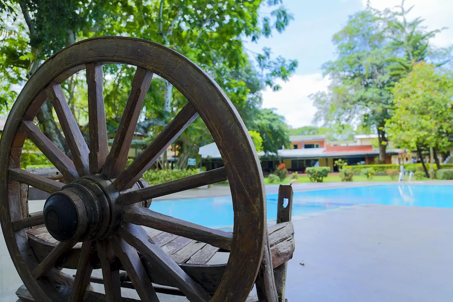 Swimming pool in Miridiya Lake Resort