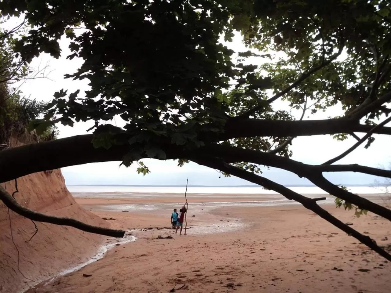 Natural landscape, Beach in Farmhouse Inn B&B