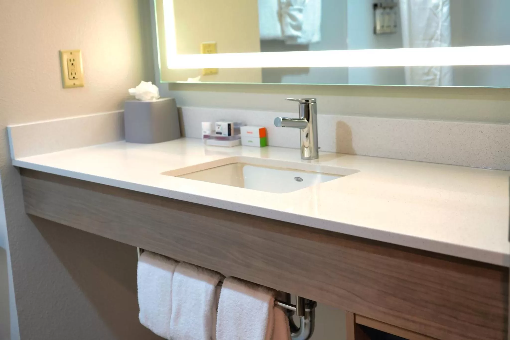 Bathroom in Holiday Inn Express Hotel & Suites Tampa-Oldsmar by IHG