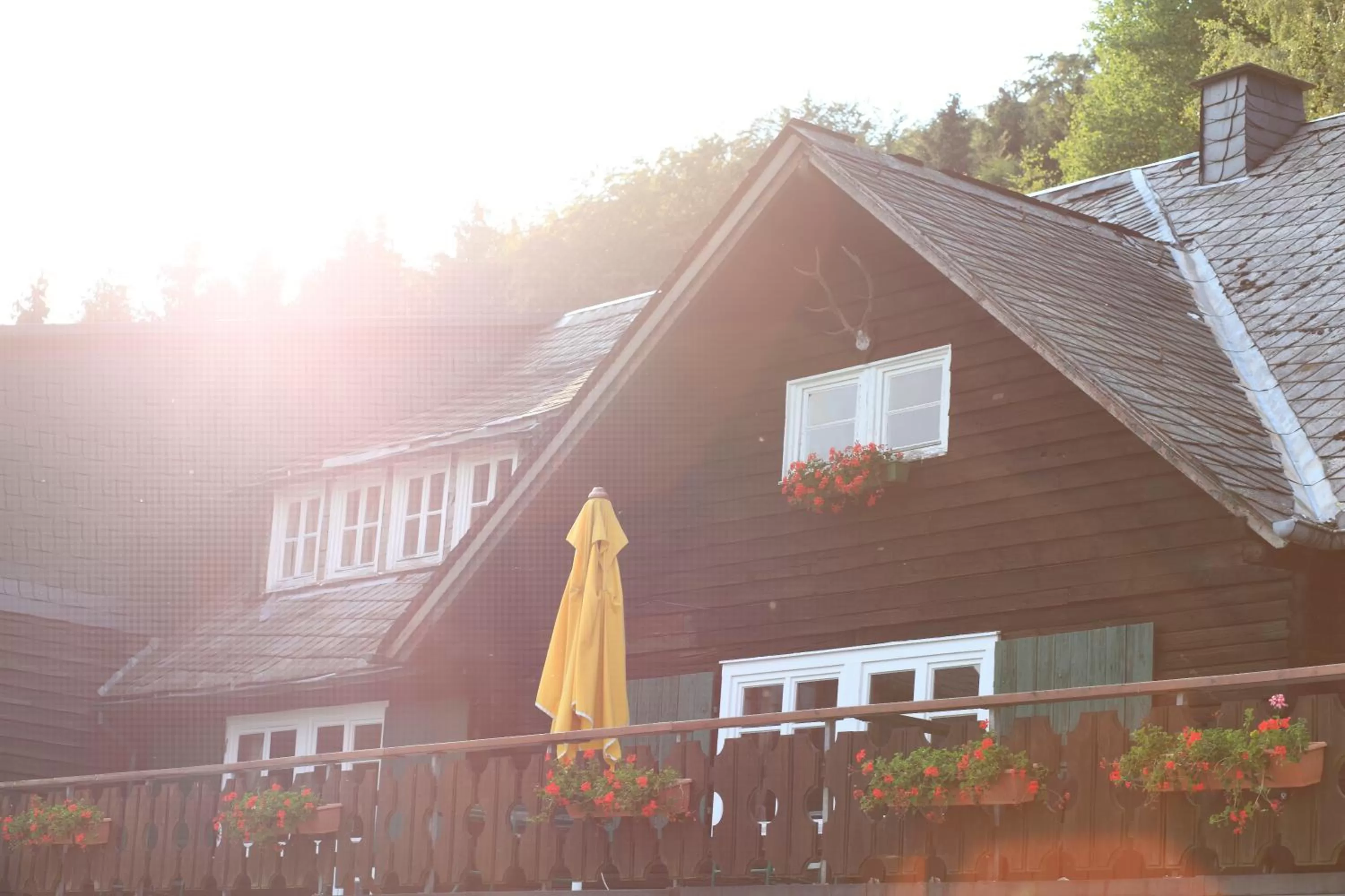 Property building in Waldhaus Ohlenbach