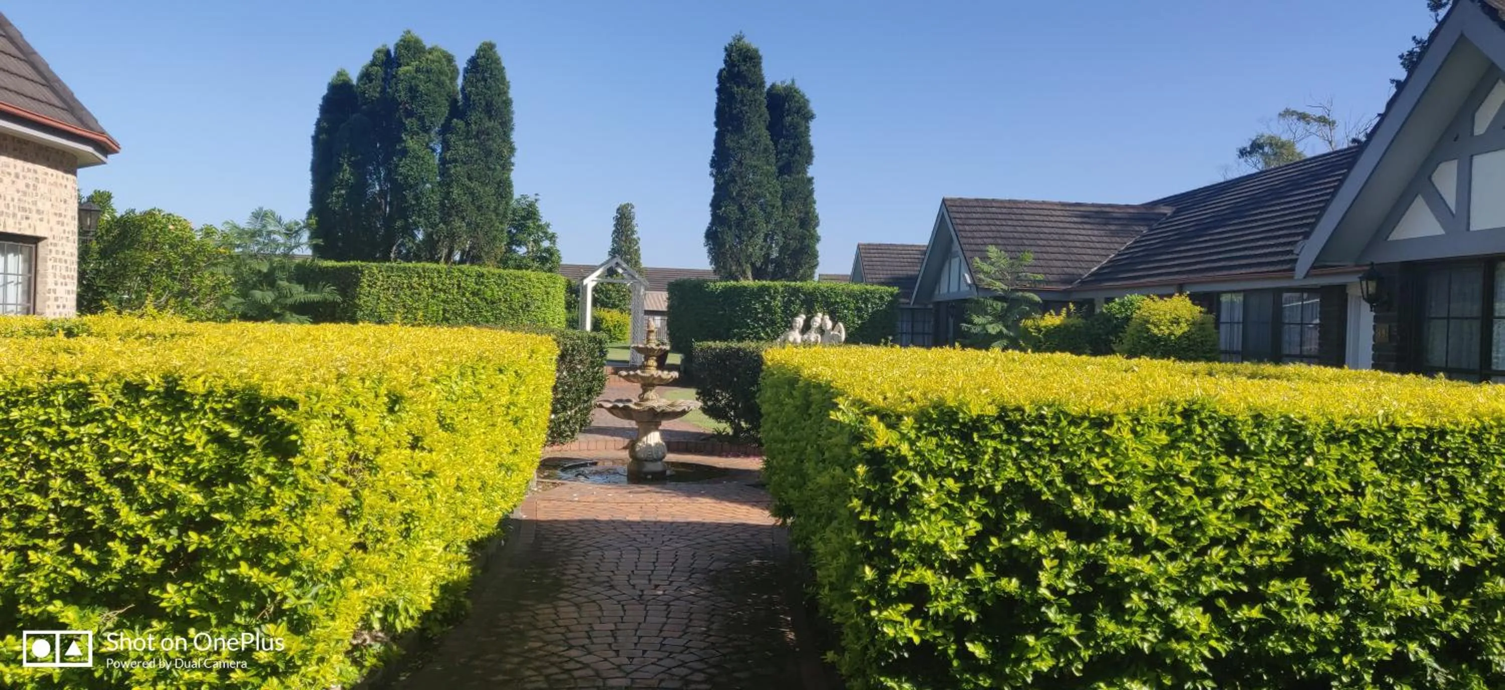 Garden in Sir Francis Drake