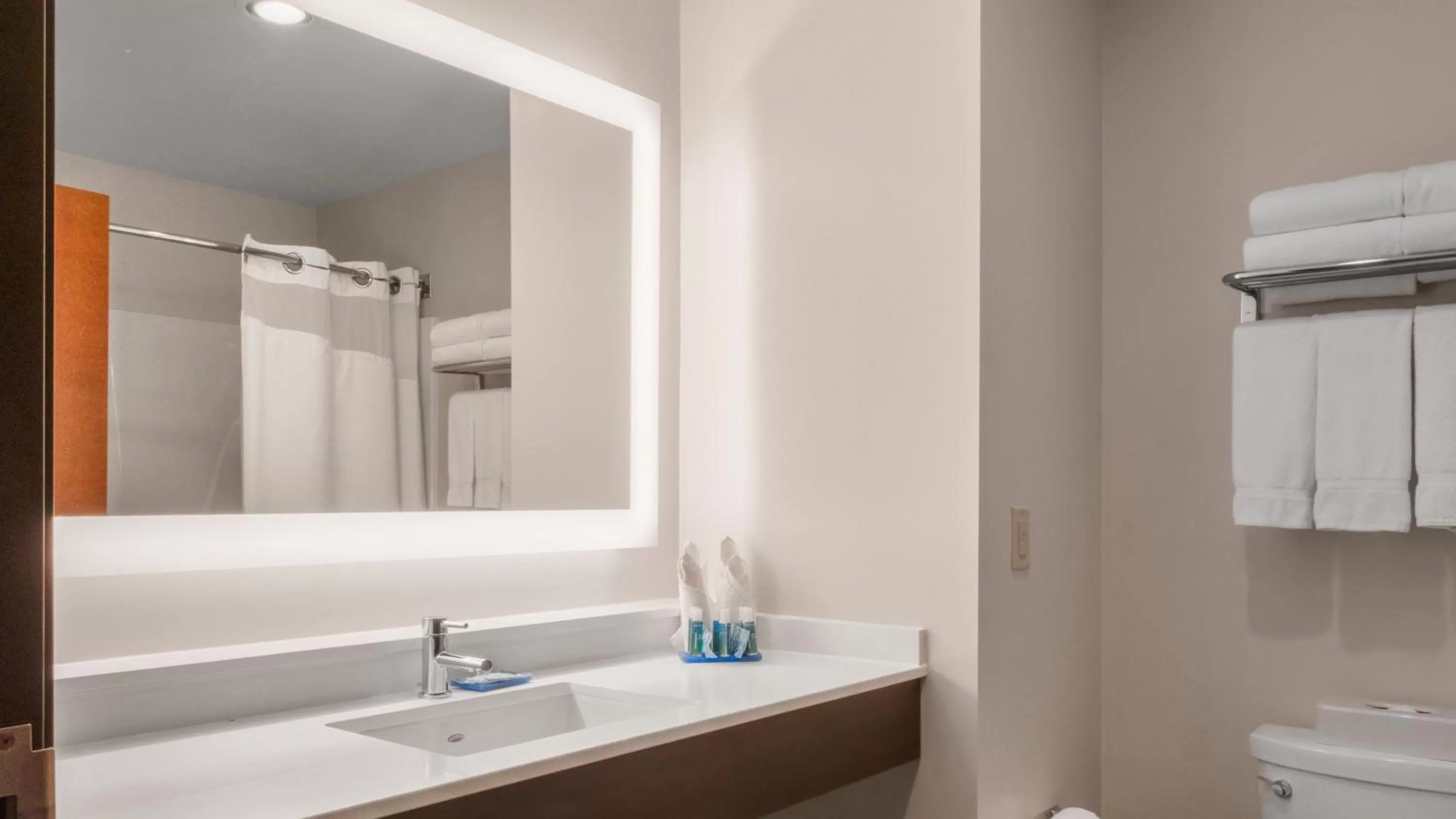 Bathroom in Holiday Inn Express Hotel & Suites Newton Sparta by IHG