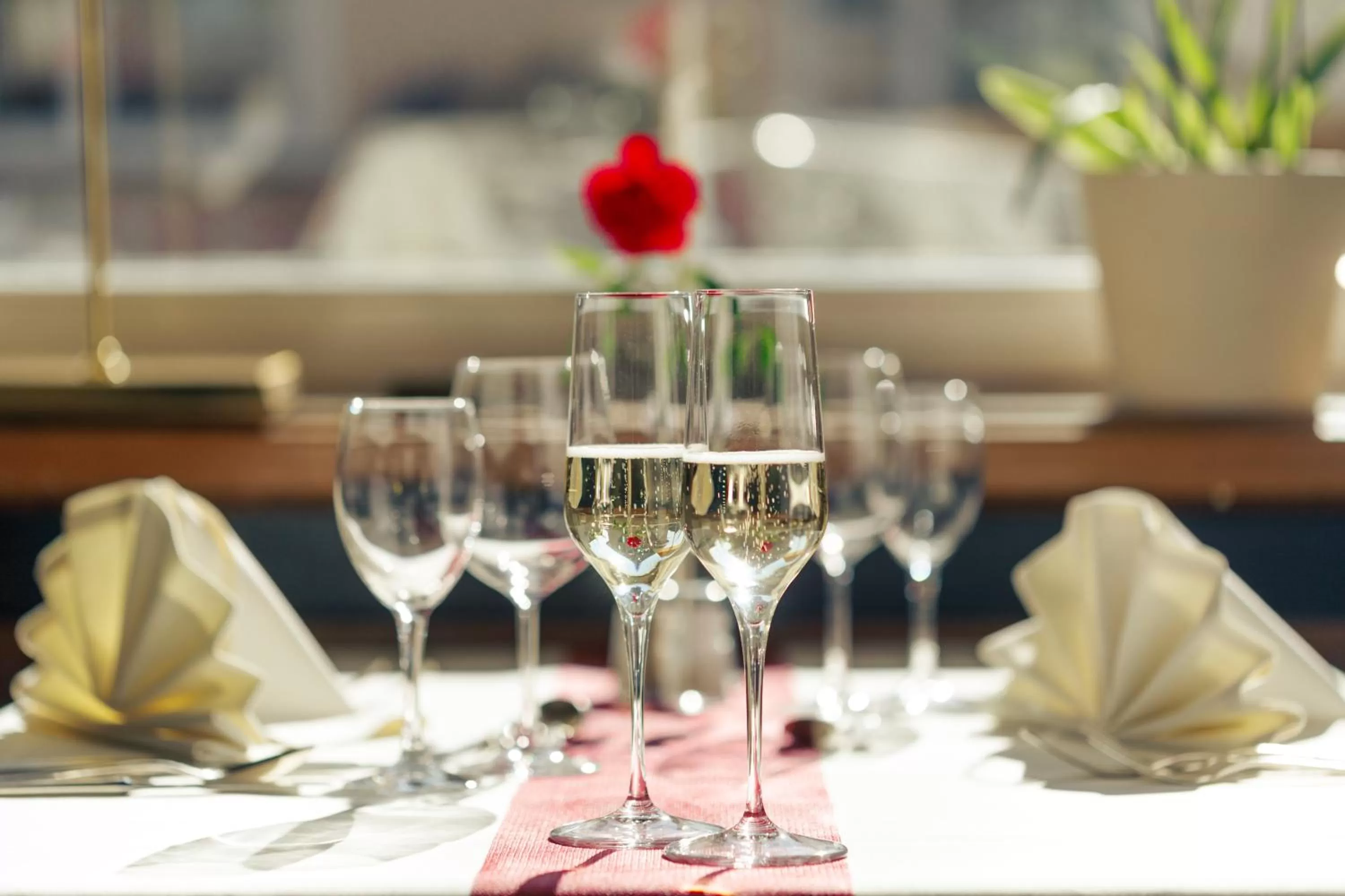 Restaurant/places to eat in Hotel Rose