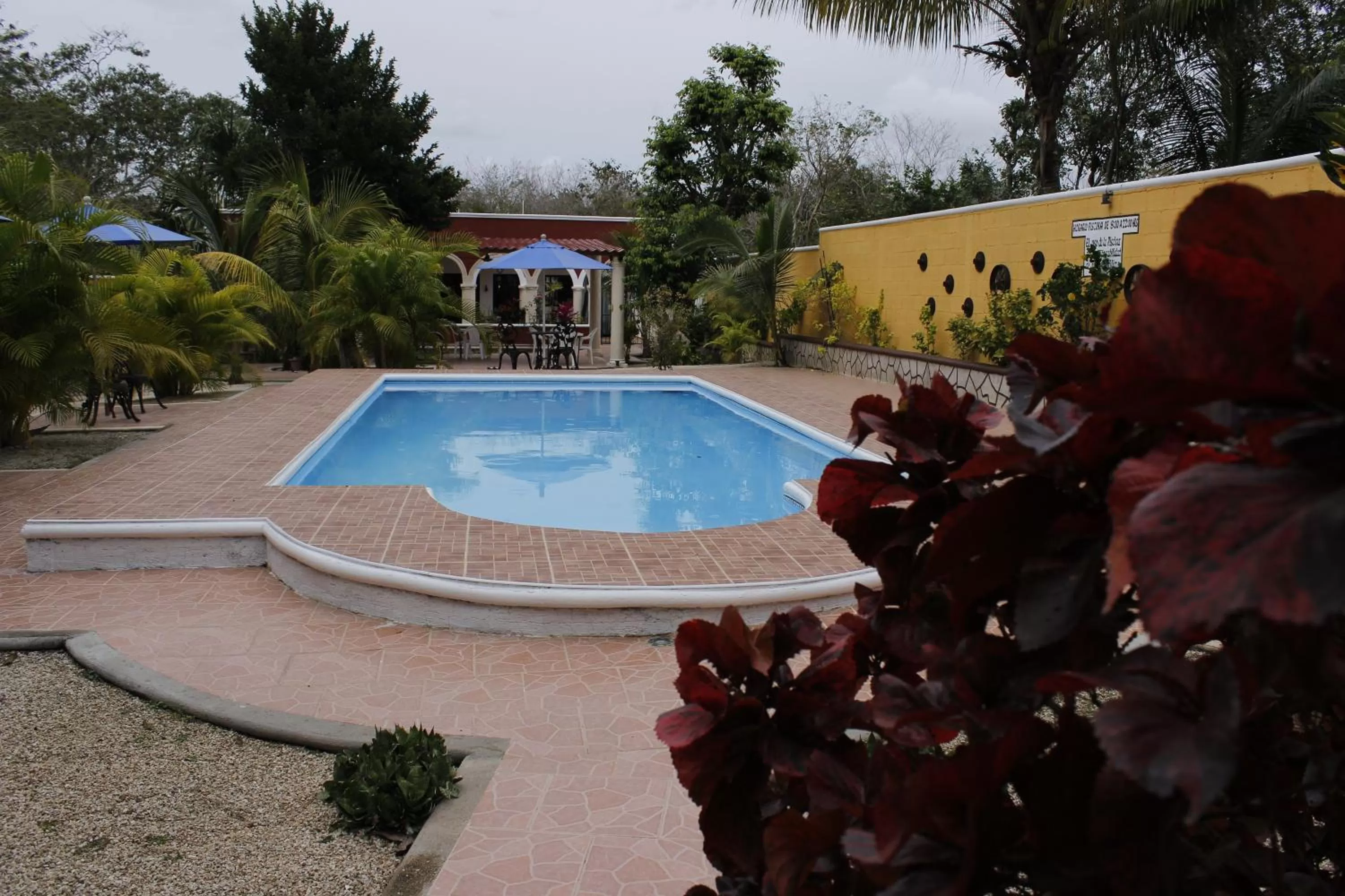 Swimming Pool in Posada Ya´ax Ich