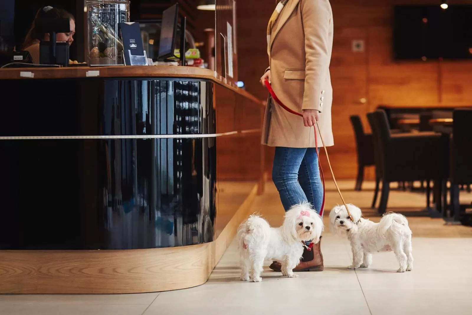 Pets in Molo Park Aparthotel