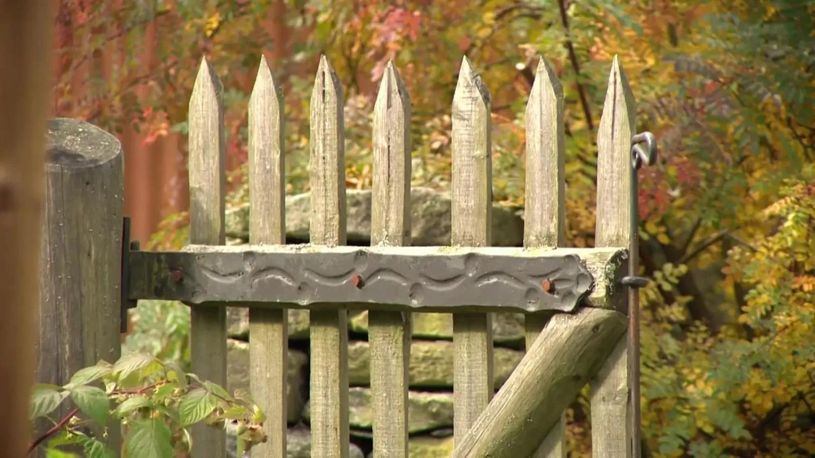 Neighbourhood in X-Park Františkov