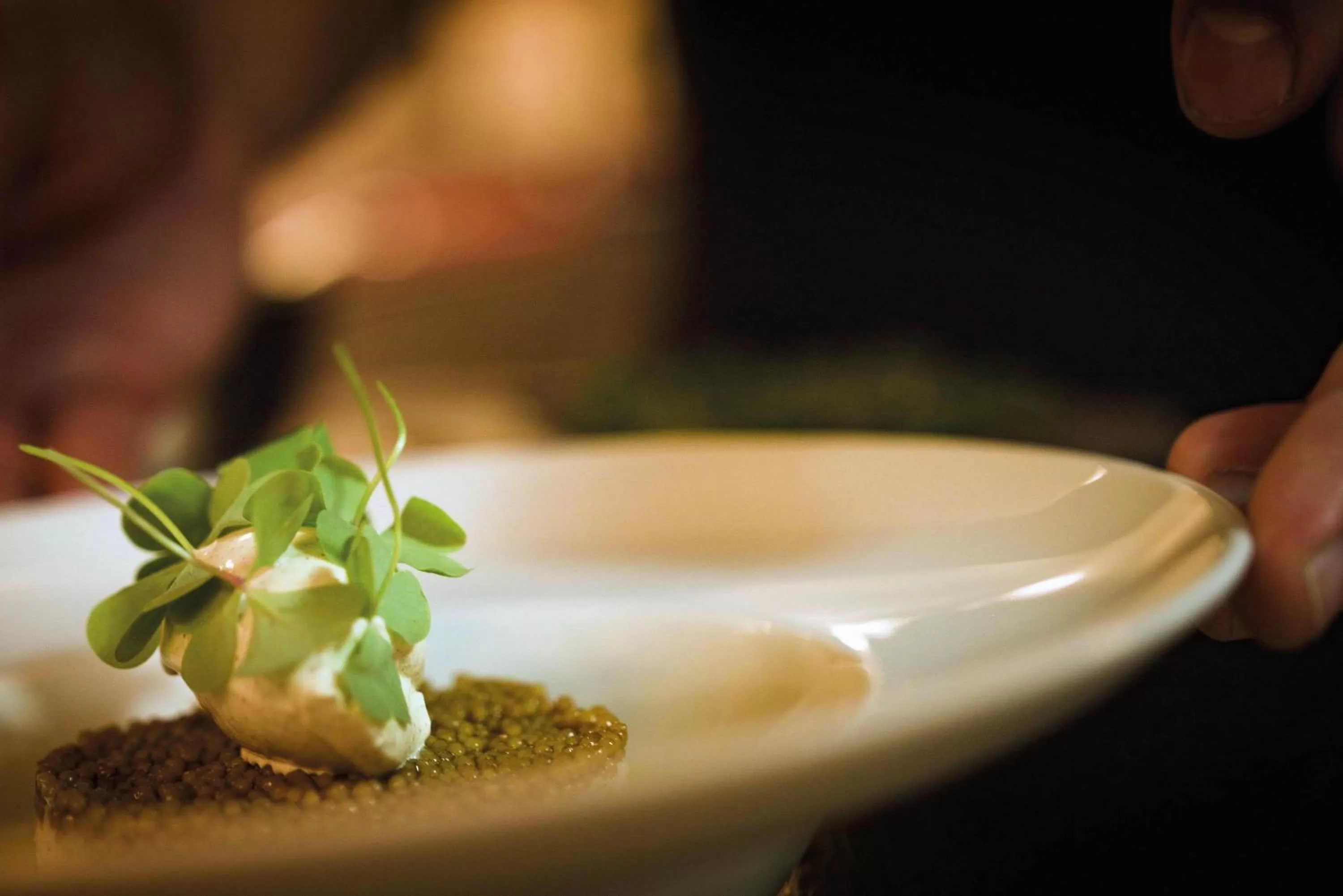 Restaurant/places to eat in Seminaris Hotel Potsdam Griebnitzsee