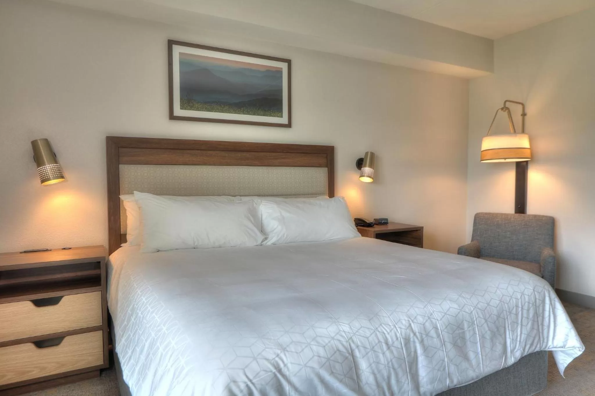 Photo of the whole room, Bed in Holiday Inn & Suites Pigeon Forge Convention Center by IHG