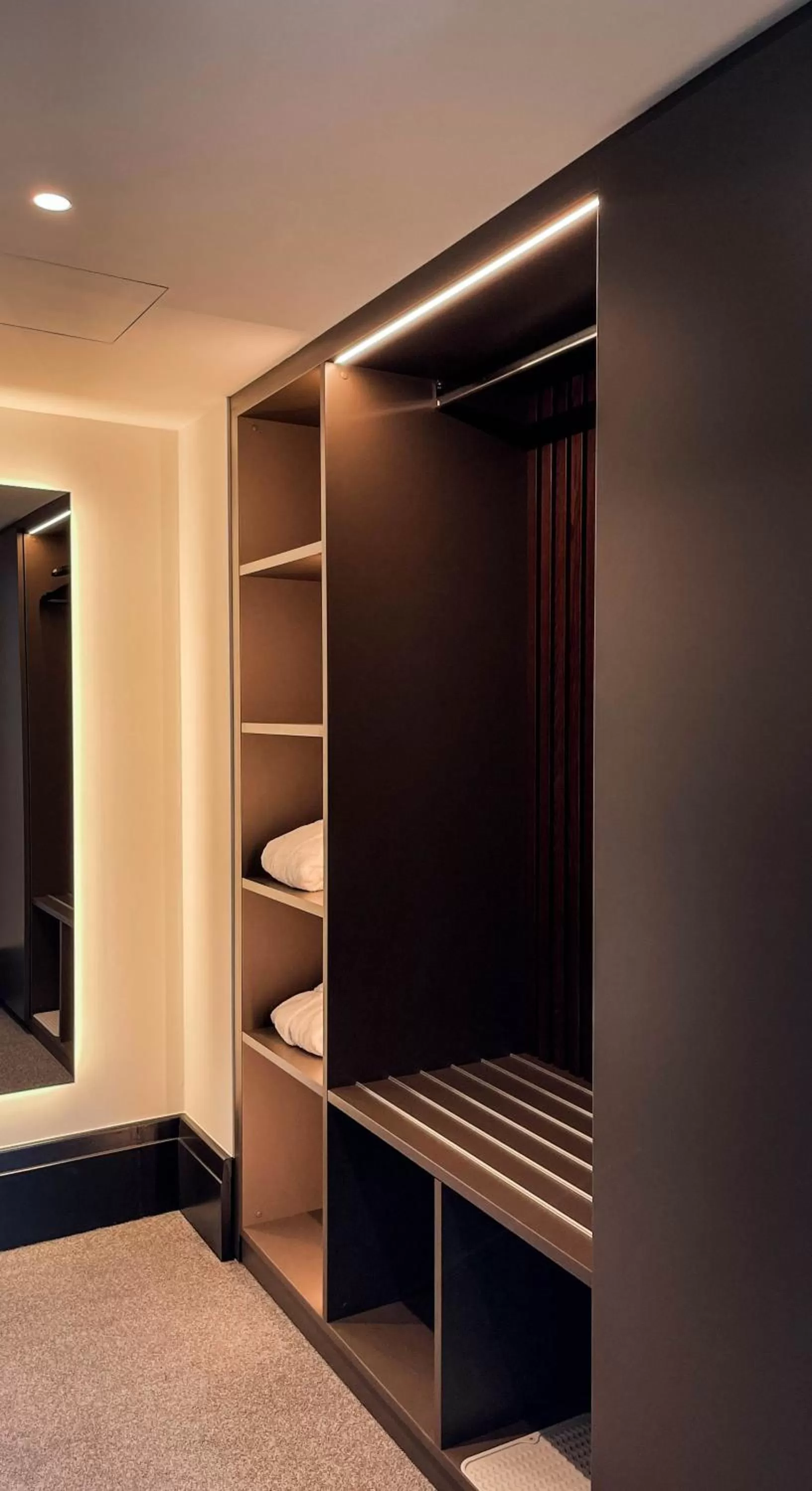 wardrobe in Villars Palace