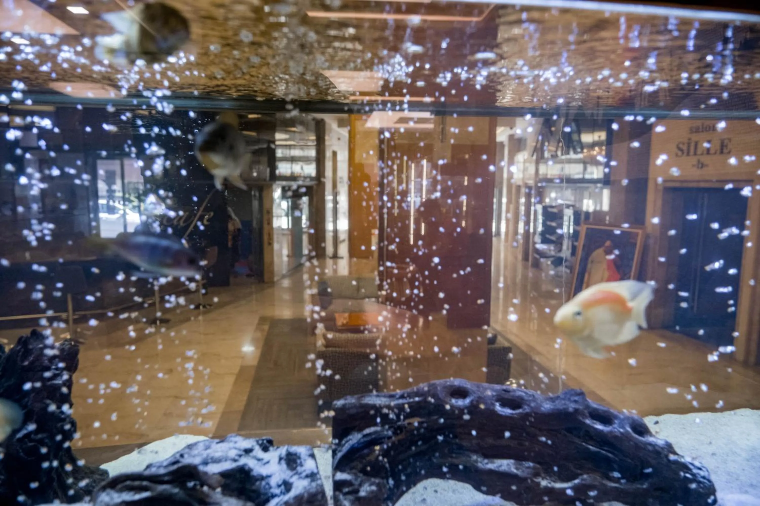 Seating area in Selçuk Hotel