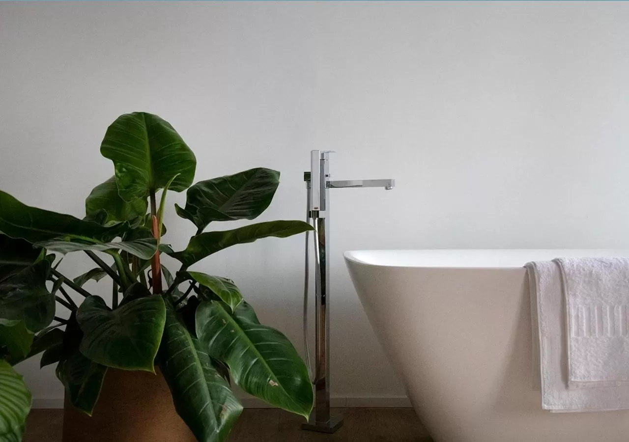 Bathroom in The Greenhouse