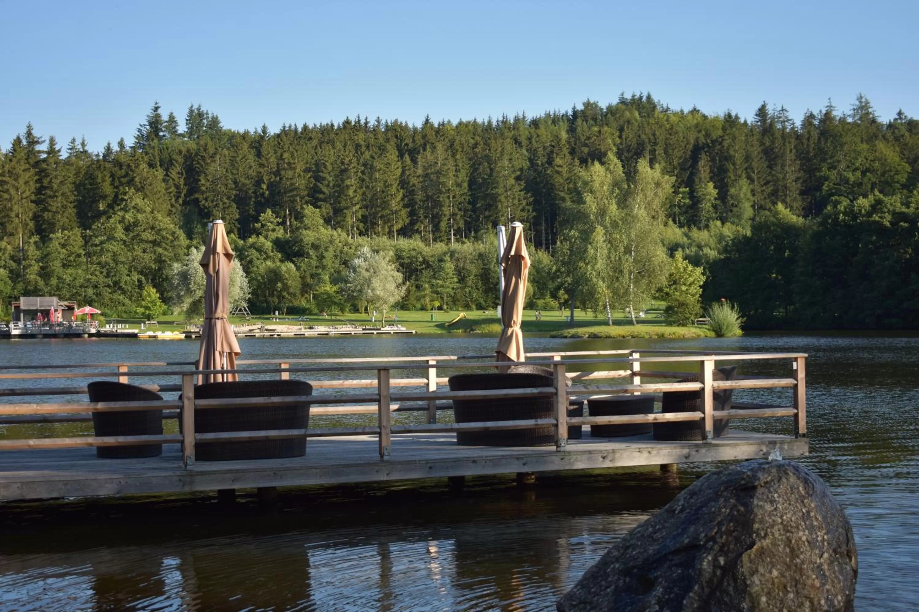 Area and facilities in Hotel Hausschachen