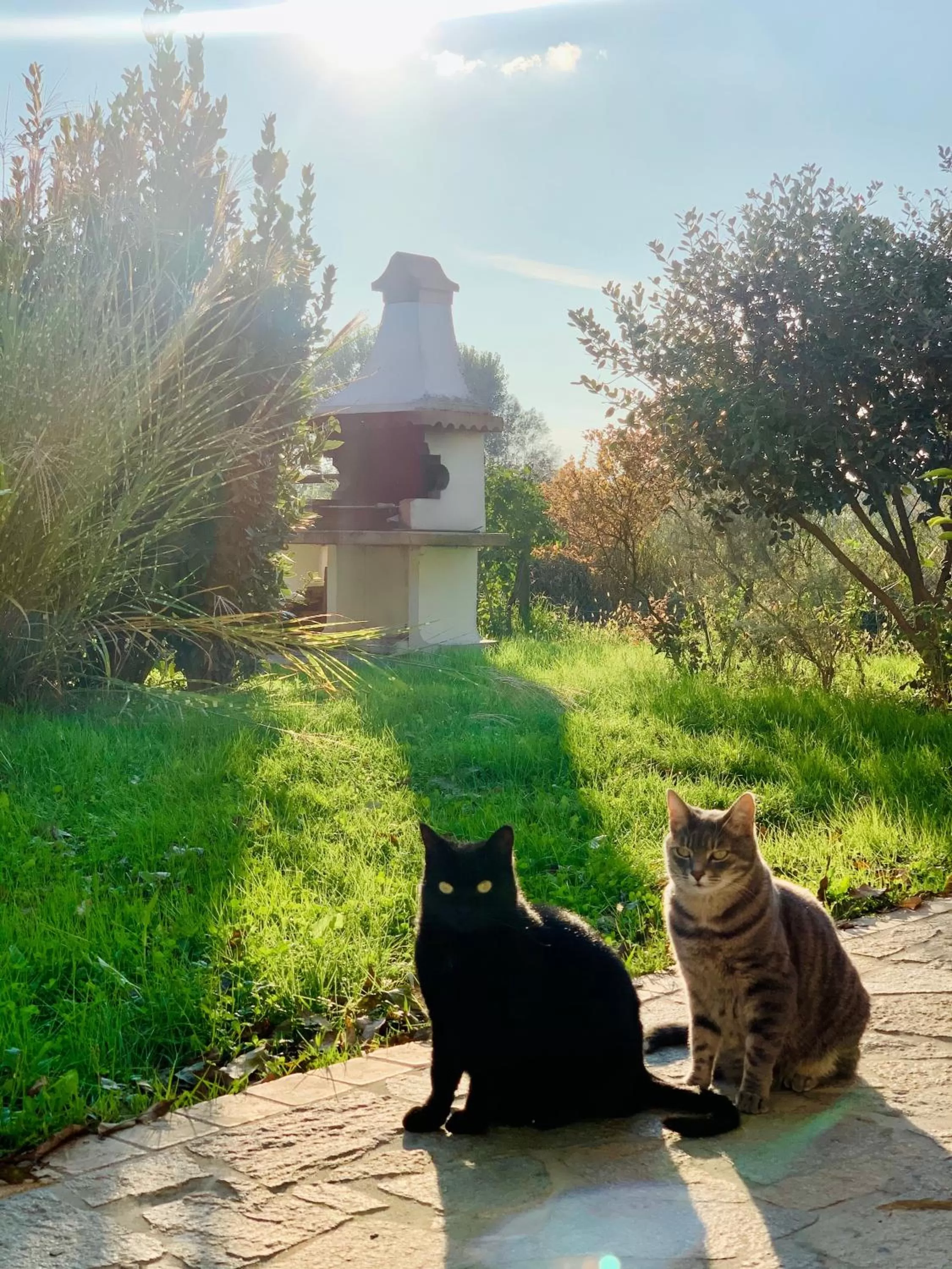 Garden in Pool & Garden Villa Lelia