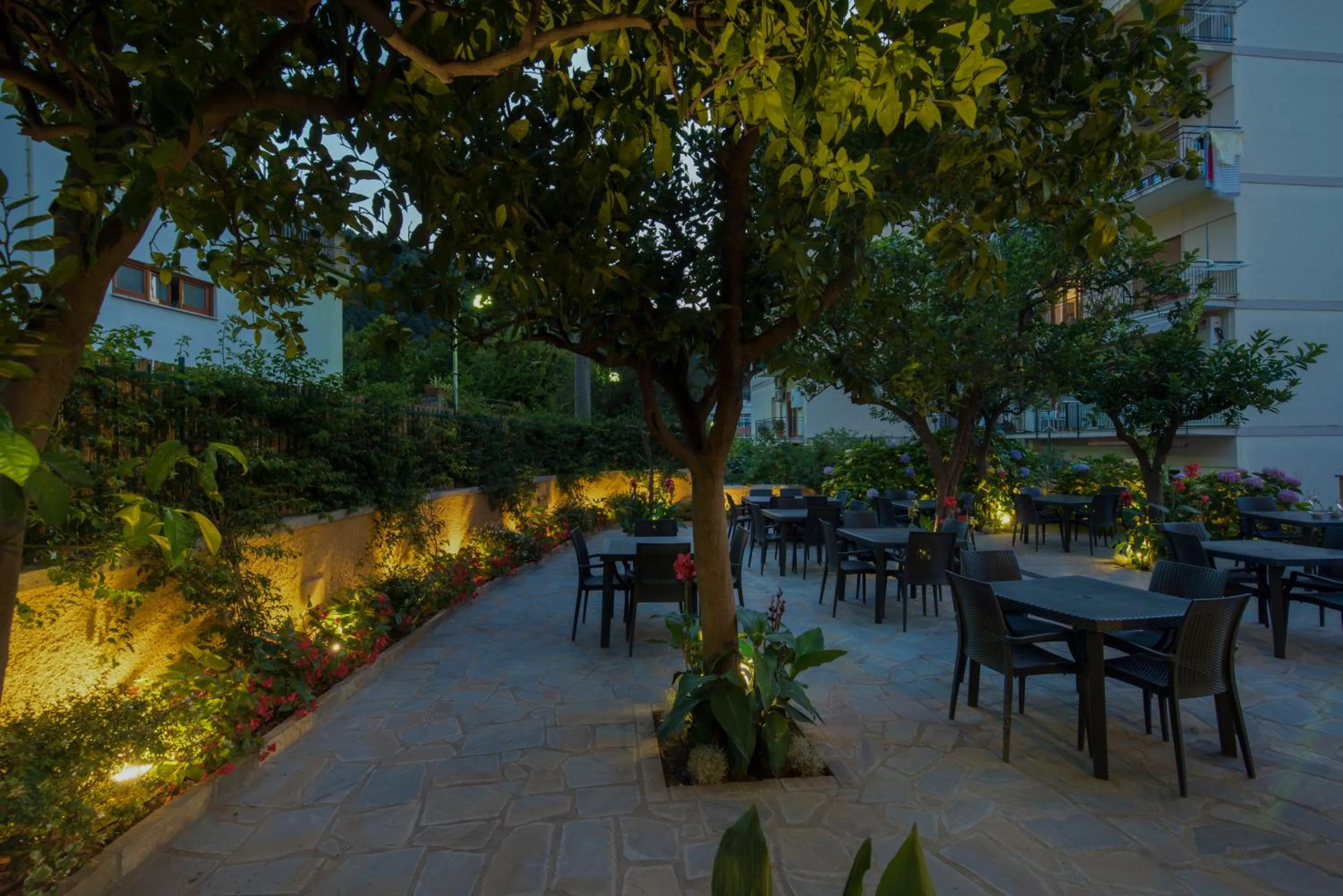 Garden view in Hotel Leone