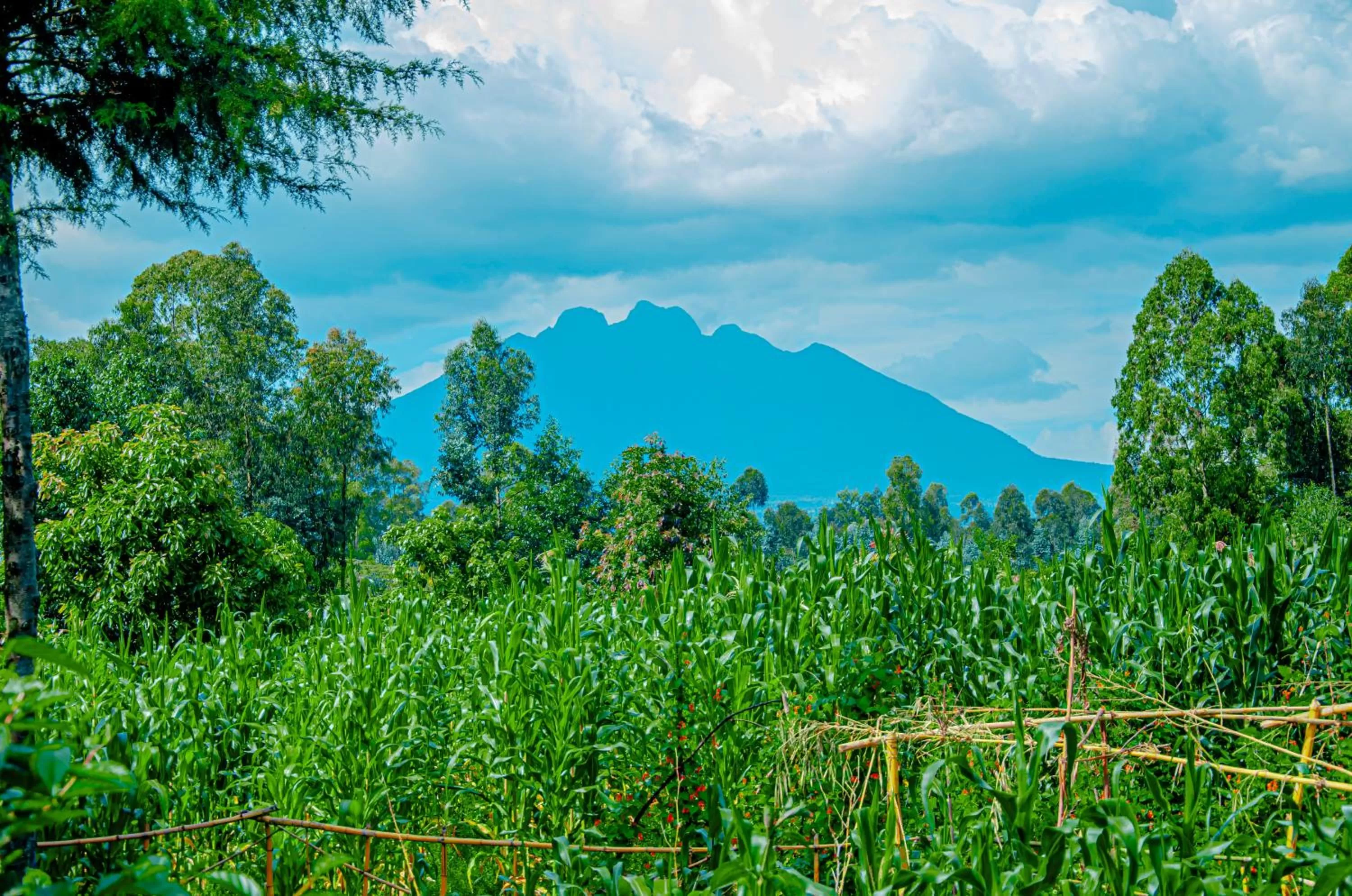 Mountain view, Natural Landscape in Fravan Eco Resort By Apogee