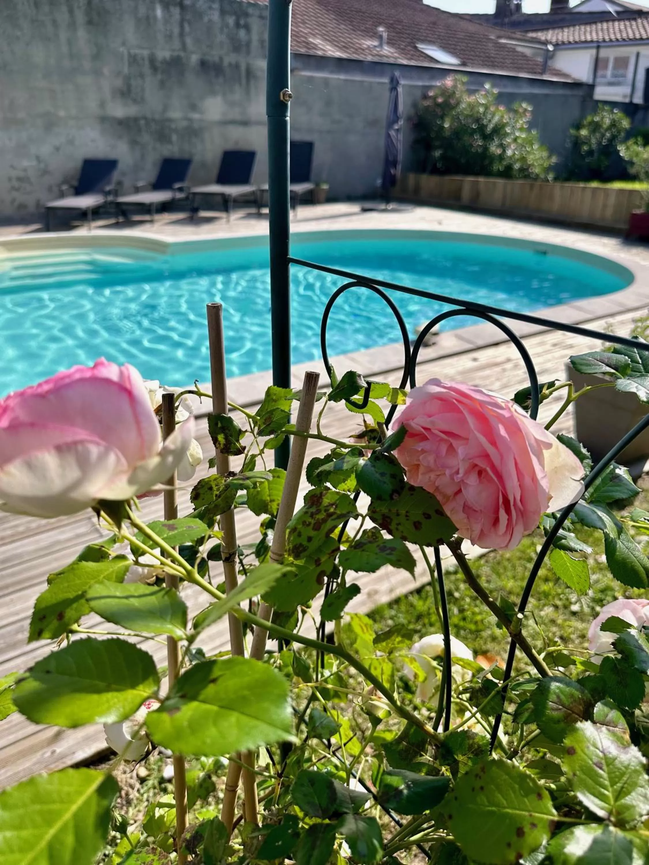 Garden, Swimming Pool in La Maison Florence