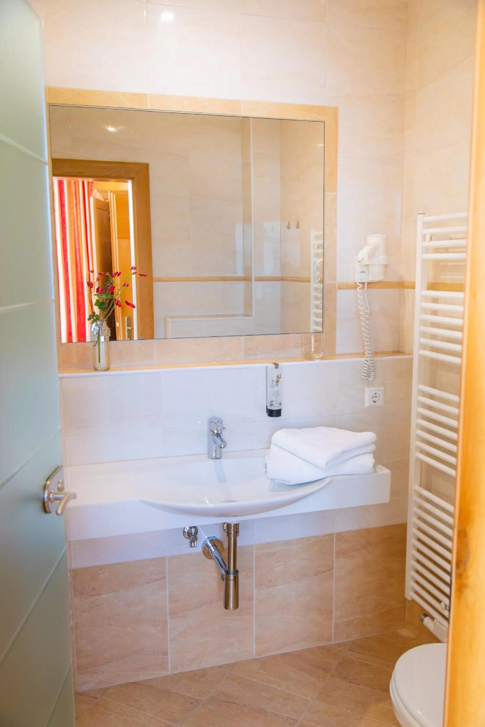 Bathroom in Bed and Breakfast Mittelkärnten